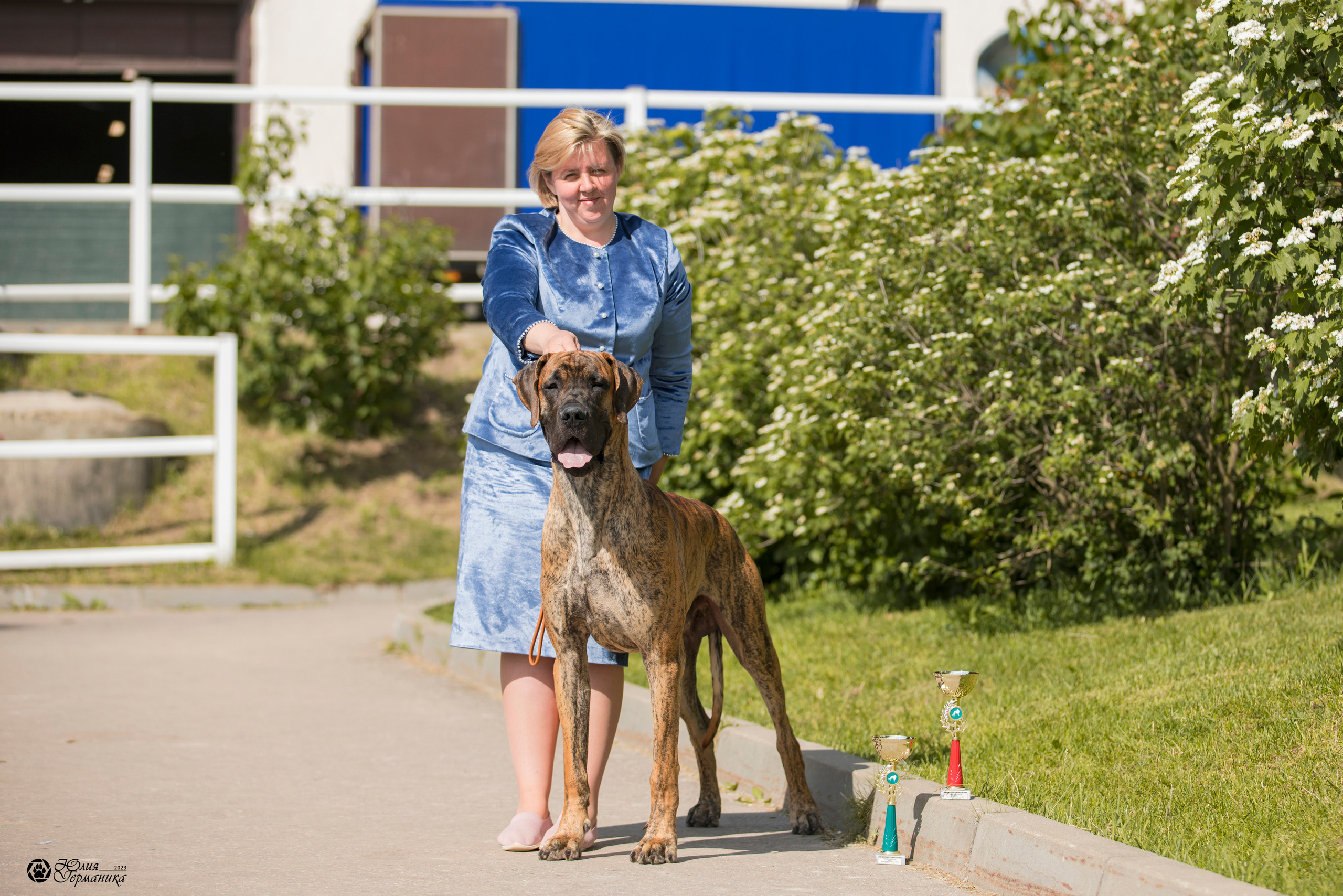 Россия 10-11.06.2023. Фотограф-анималист Юлия Германика