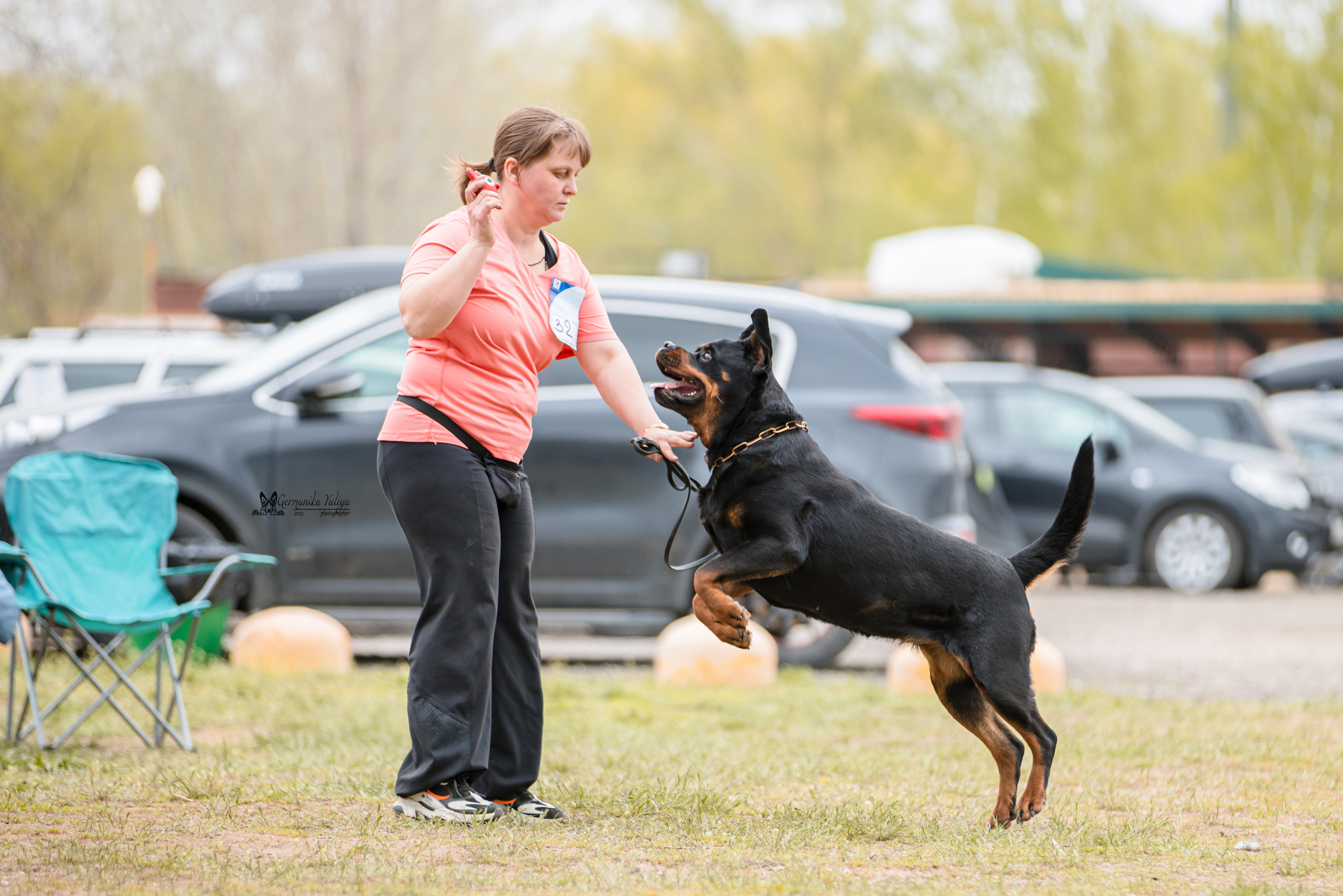 Саратов 2хмоно ротвейлеров 22-23.04.2023. Фотограф-анималист Юлия Германика