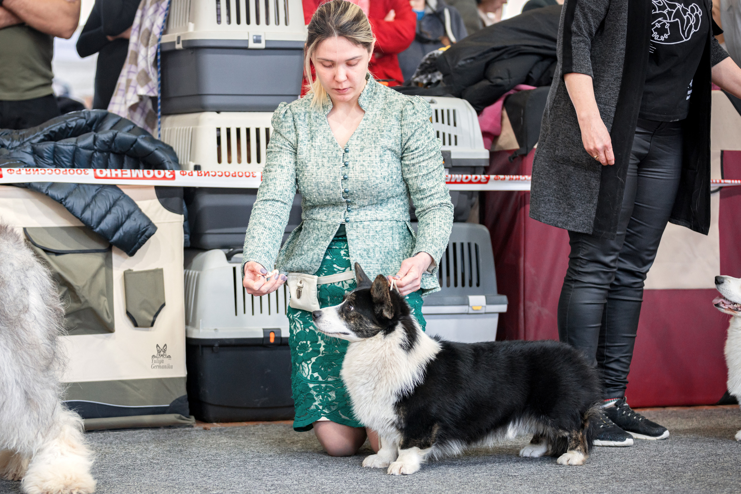Тверь 01.04.2023. Фотограф-анималист Юлия Германика