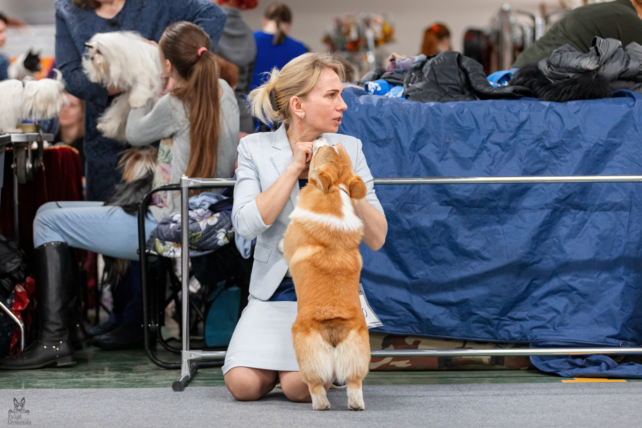 Сфера+доберманы 02.04.2023. Фотограф-анималист Юлия Германика