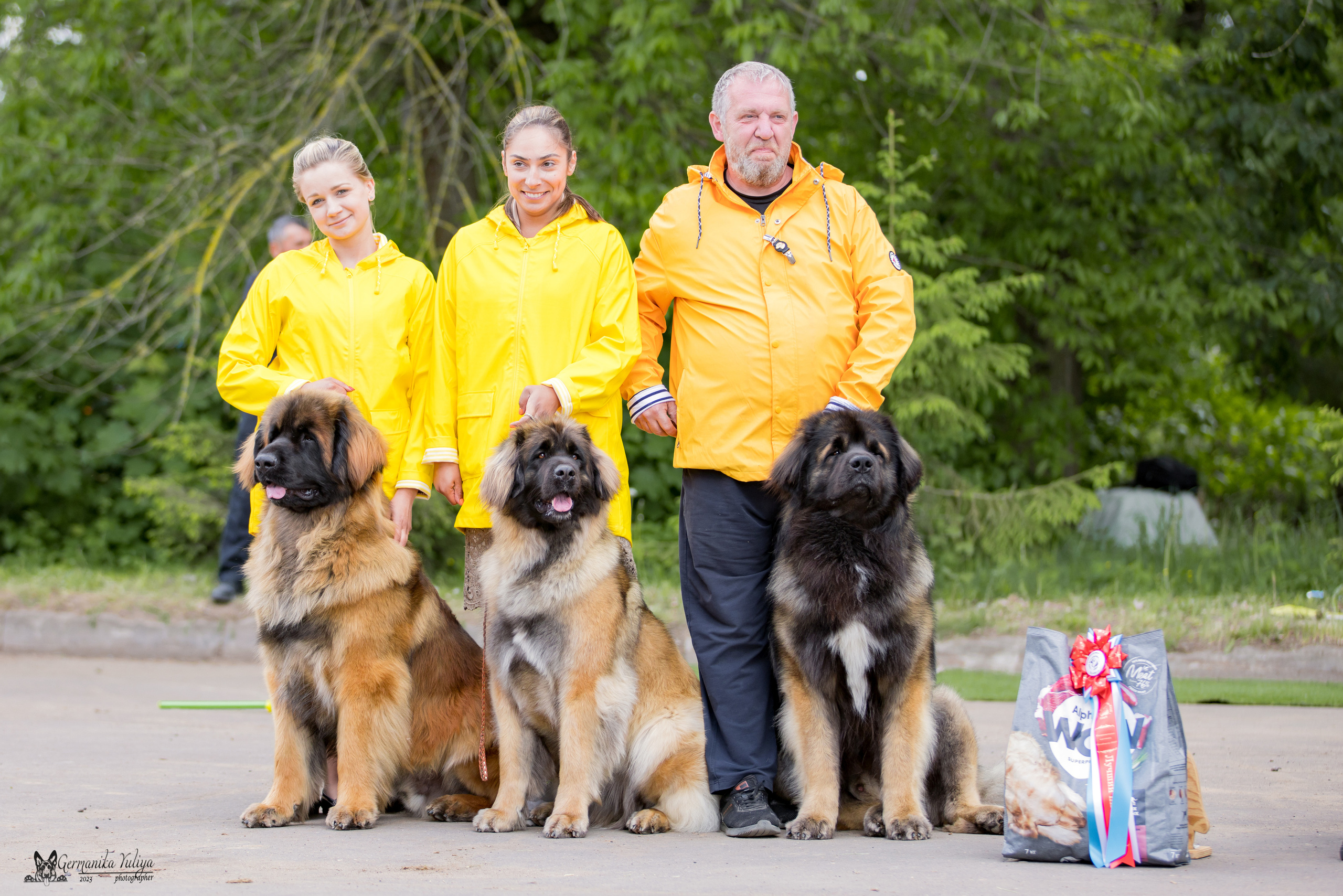 Националка Леонбергеров 28.05.2023. Фотограф-анималист Юлия Германика