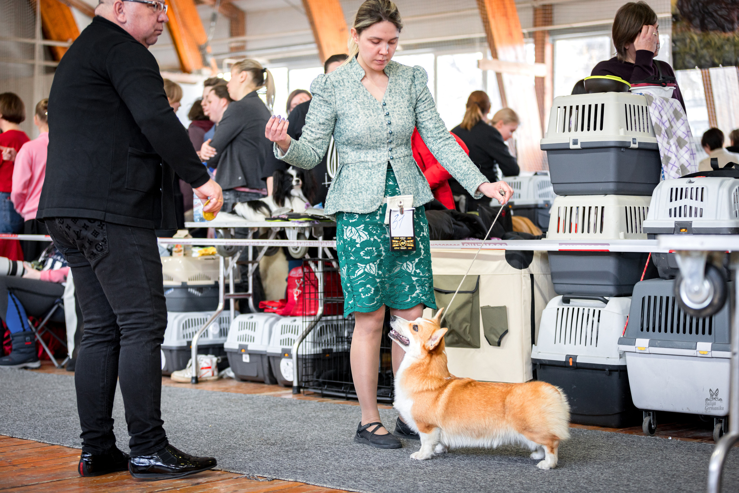Тверь 01.04.2023. Фотограф-анималист Юлия Германика