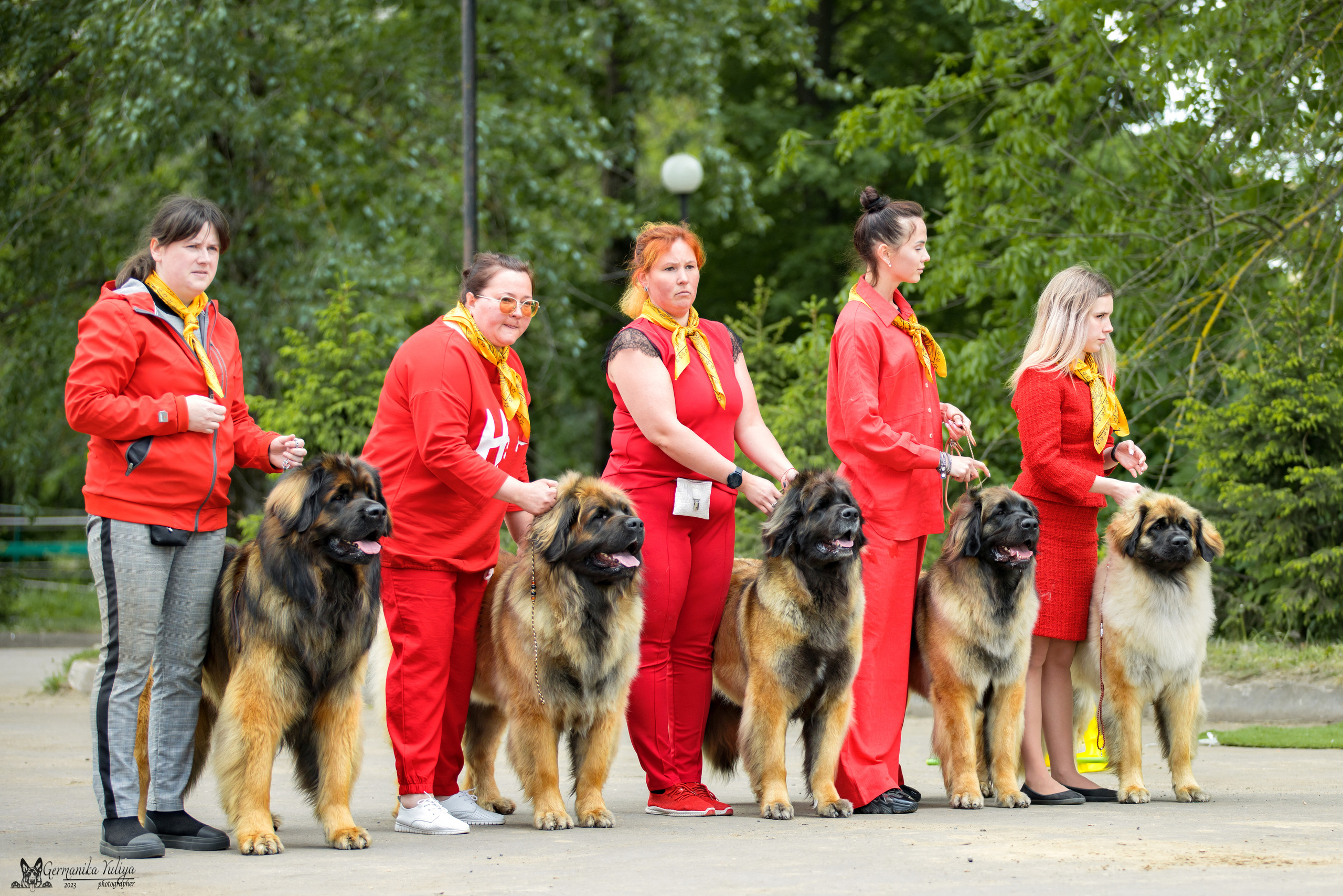 Националка Леонбергеров 28.05.2023. Фотограф-анималист Юлия Германика