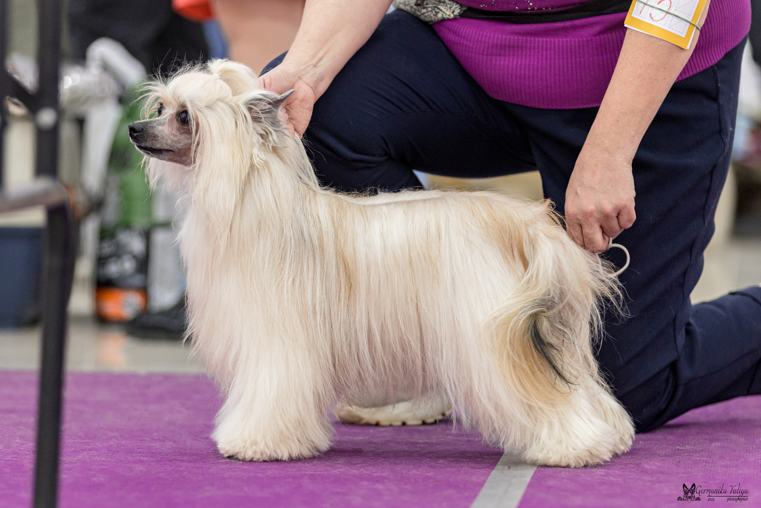 Сфера+МД 8-9.04.2023. Фотограф-анималист Юлия Германика