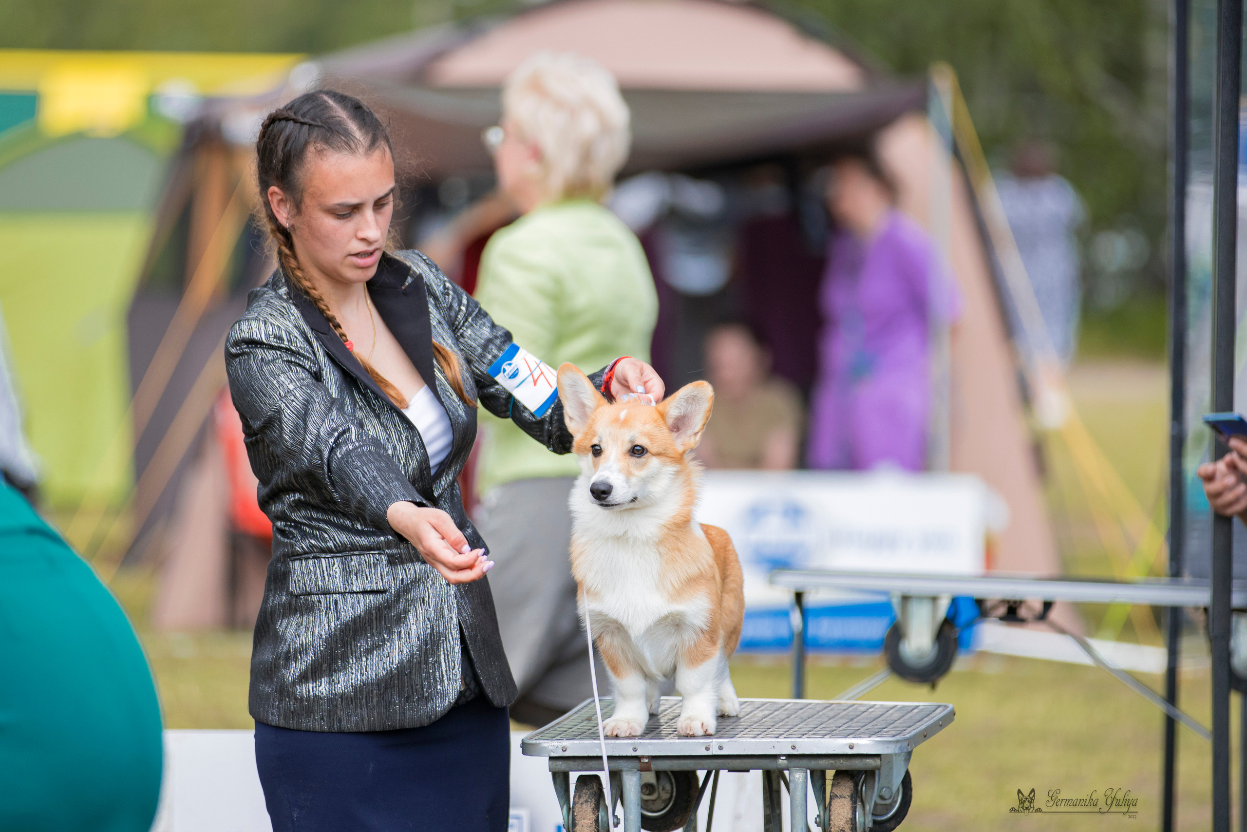 Владимир 1-2.07.2023. Фотограф-анималист Юлия Германика