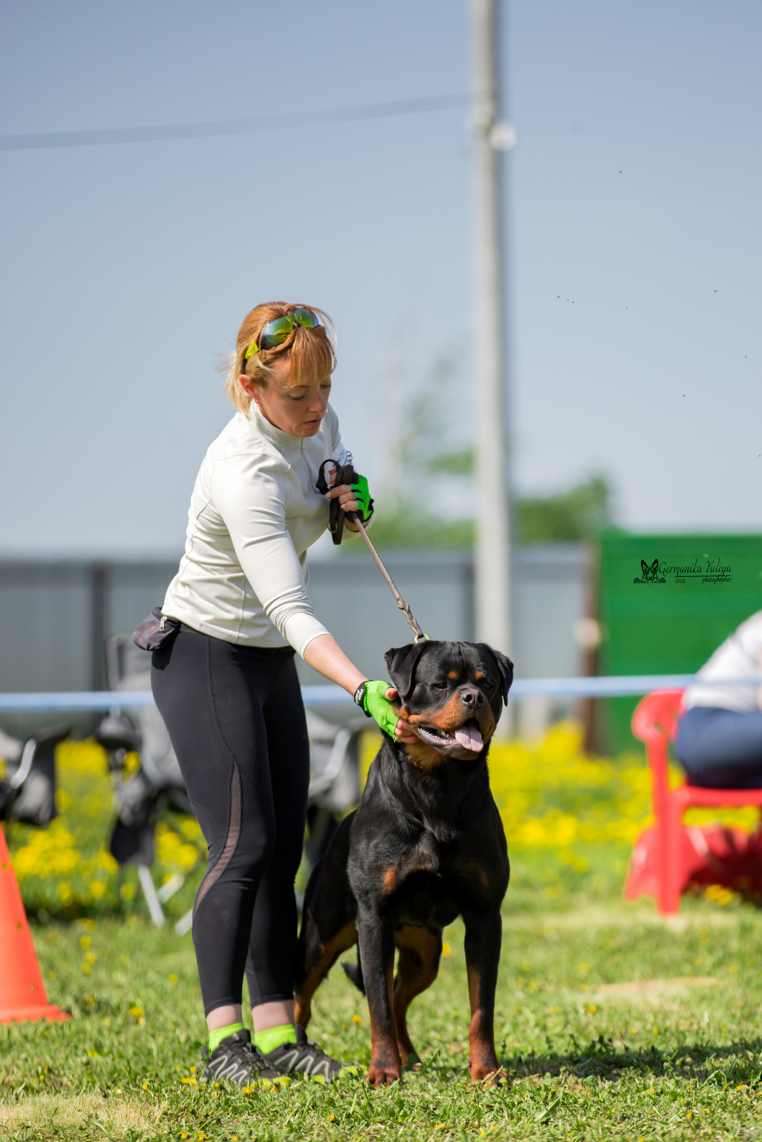 Нижний Новгород моно ротвейлеров 13.05.2023. Фотограф-анималист Юлия Германика
