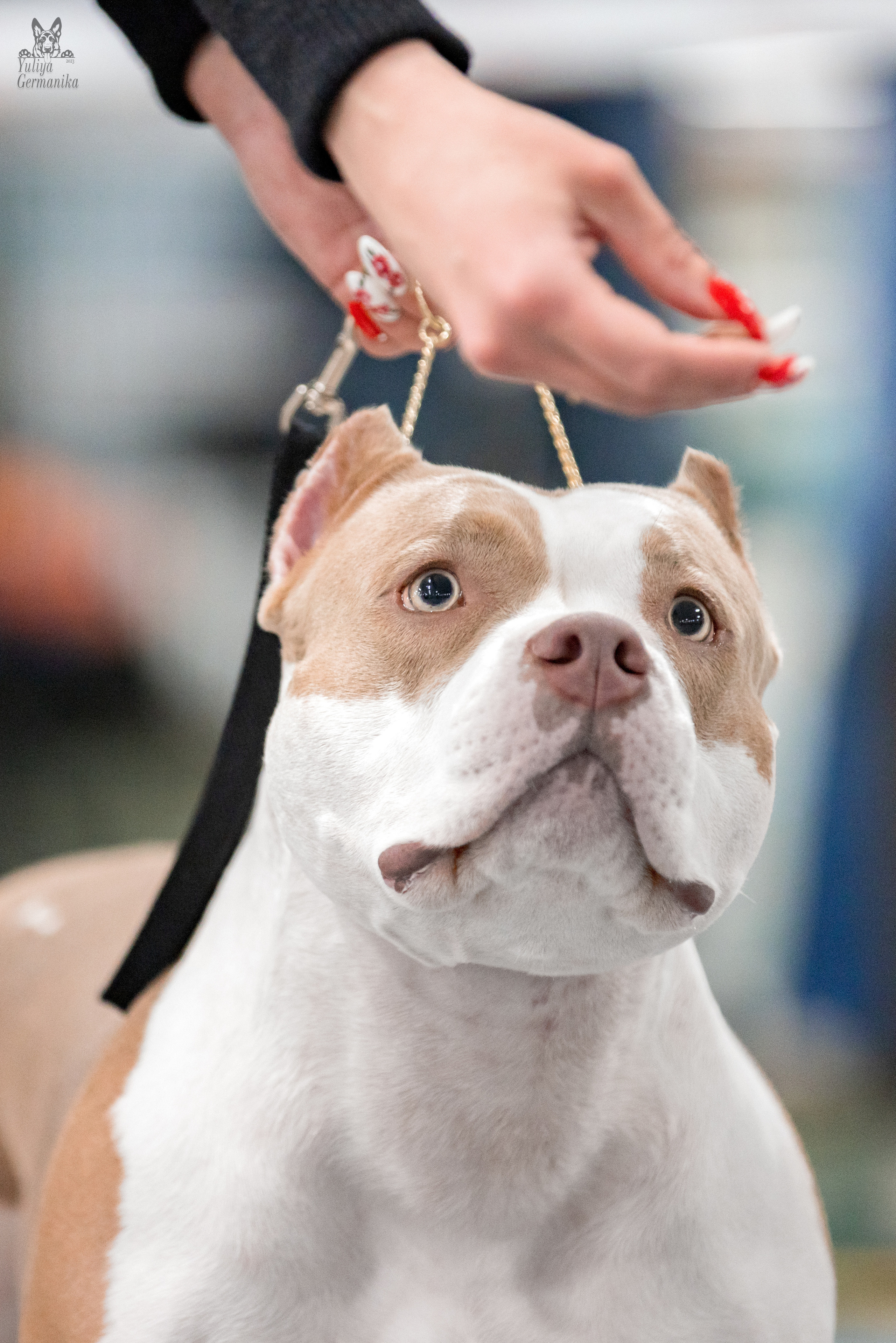 Сфера 25-26.03.2023. Фотограф-анималист Юлия Германика