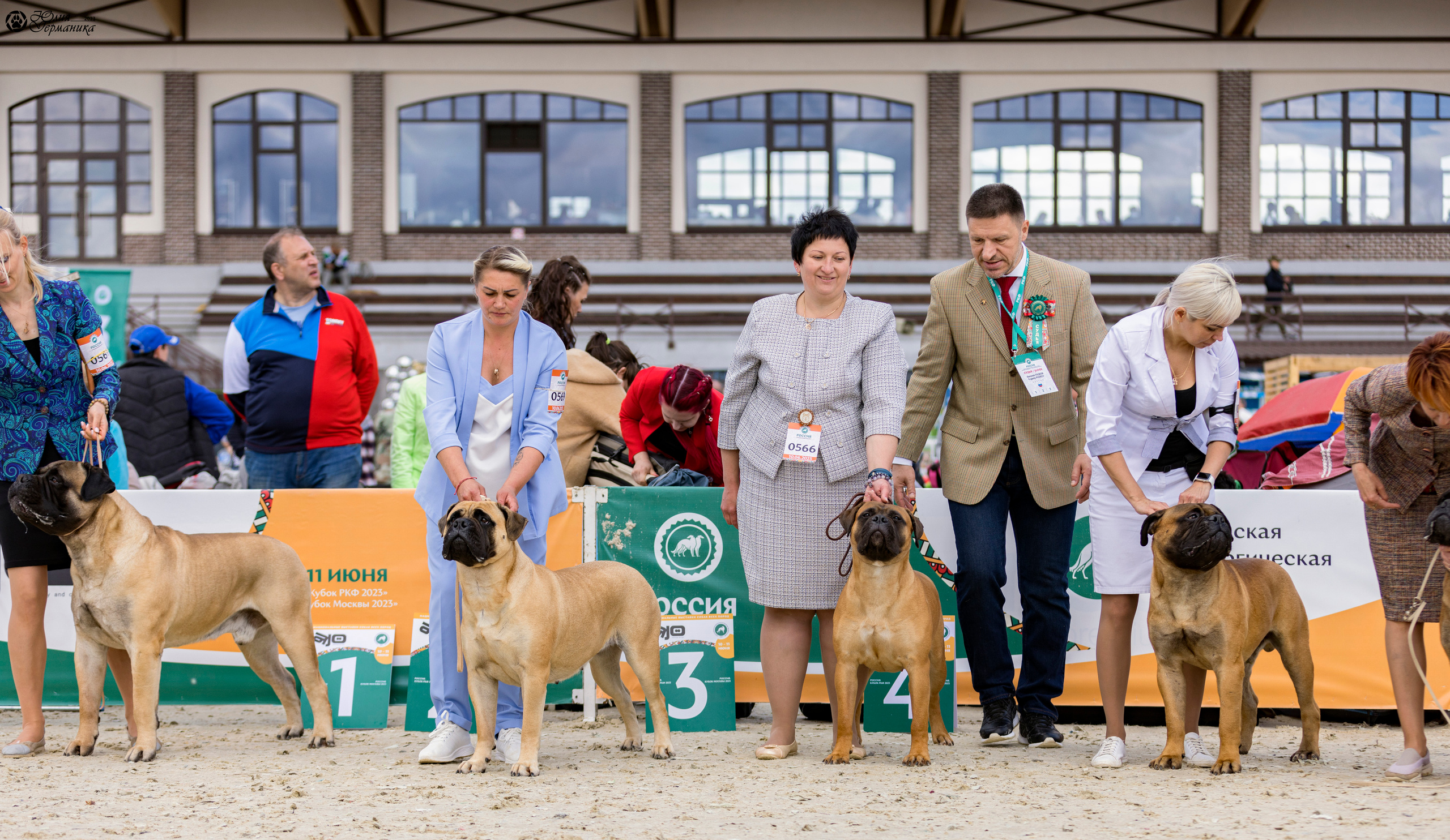 Россия 10-11.06.2023. Фотограф-анималист Юлия Германика