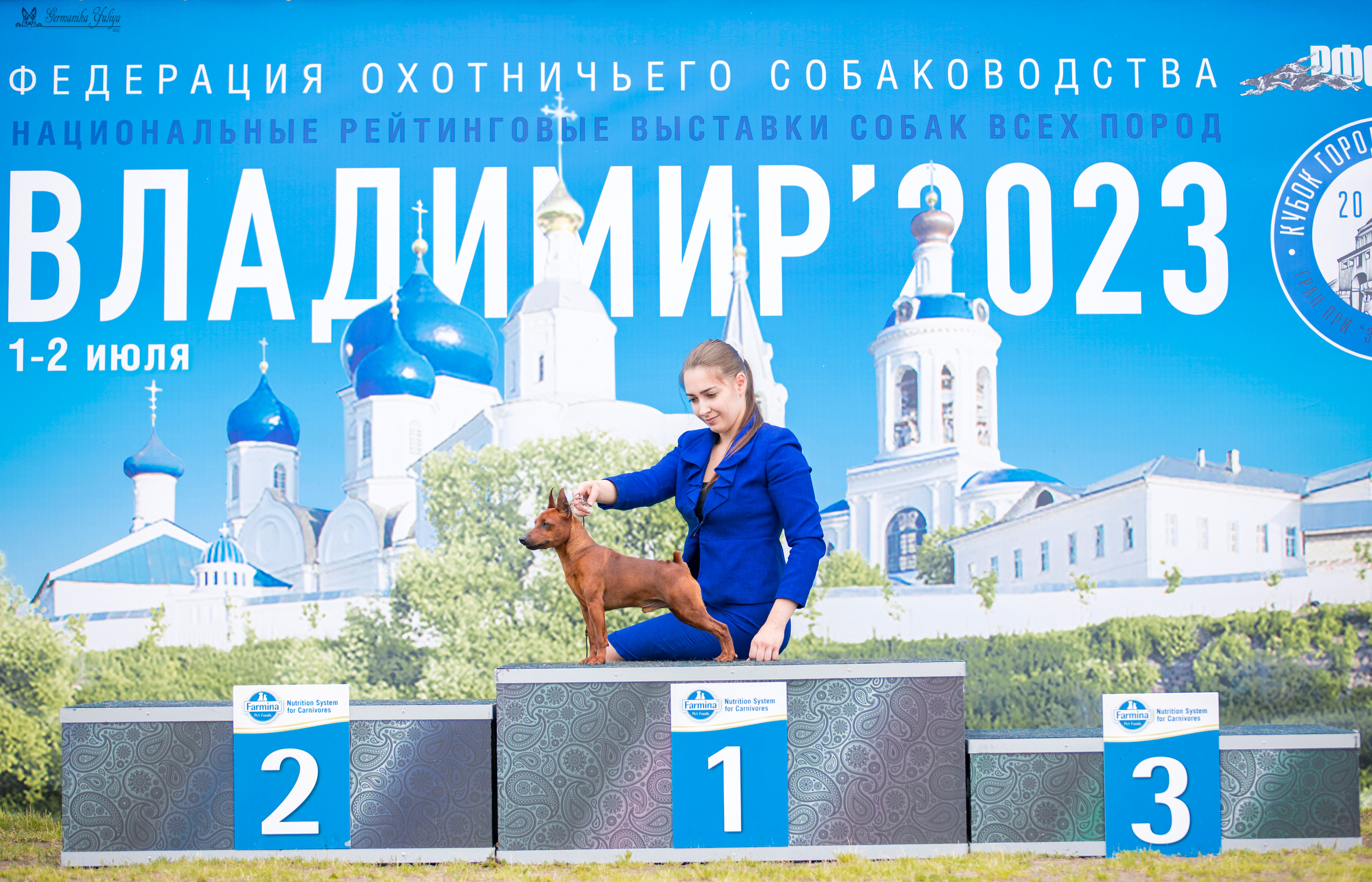 Владимир 1-2.07.2023. Фотограф-анималист Юлия Германика