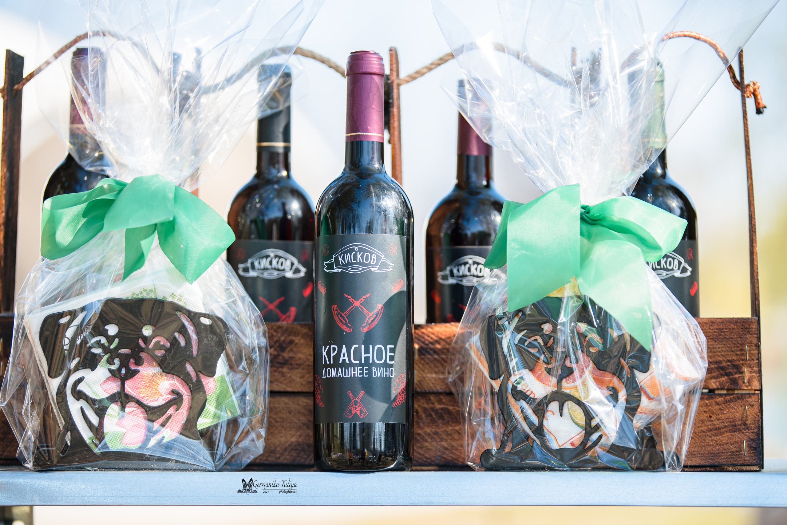 Саратов 2хмоно ротвейлеров 22-23.04.2023. Фотограф-анималист Юлия Германика