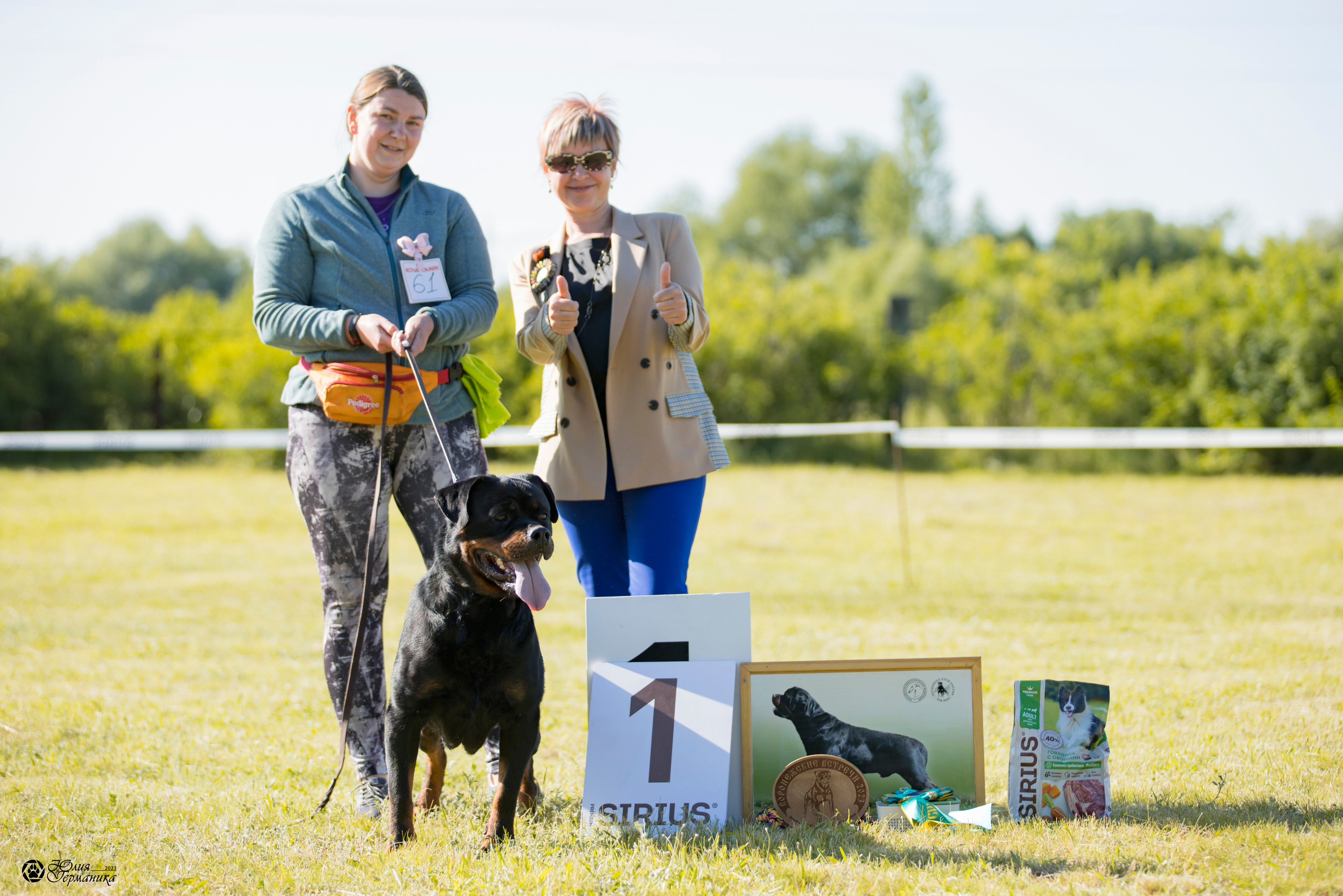 Воронеж 2хмоно ротвейлеров 3-4.06.2023. Фотограф-анималист Юлия Германика