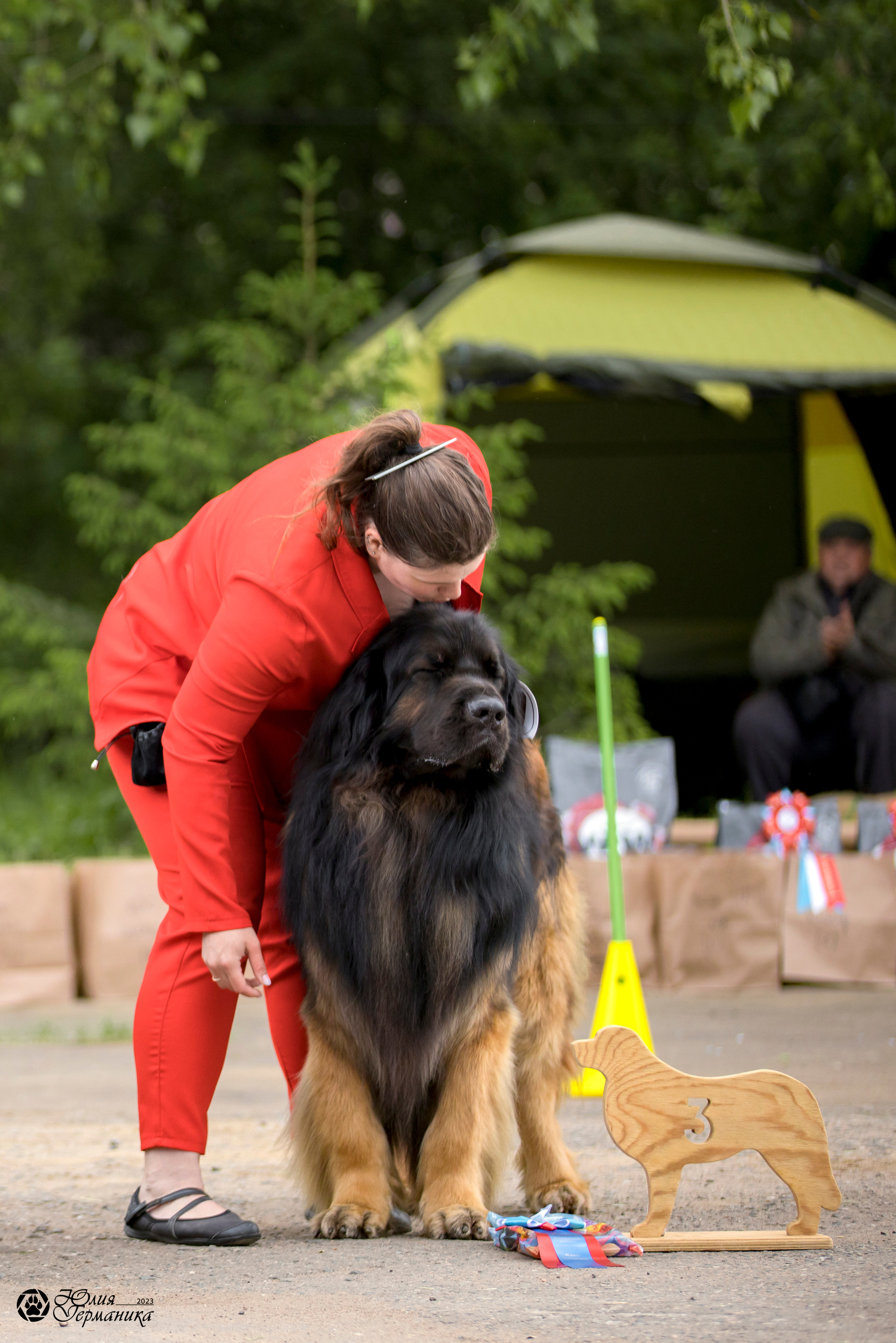 Националка Леонбергеров 28.05.2023. Фотограф-анималист Юлия Германика