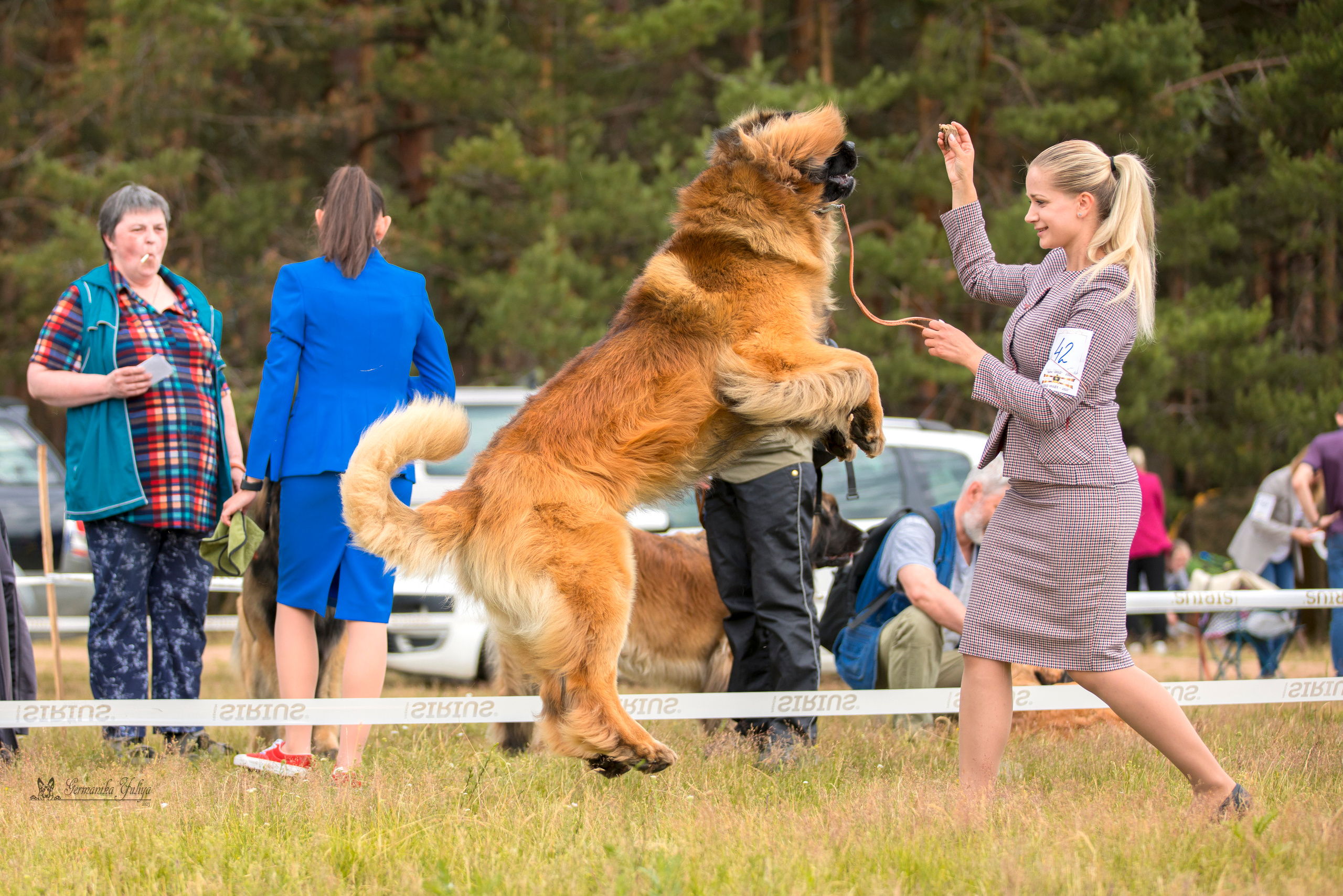 Волжанка 8.07.2023. Фотограф-анималист Юлия Германика