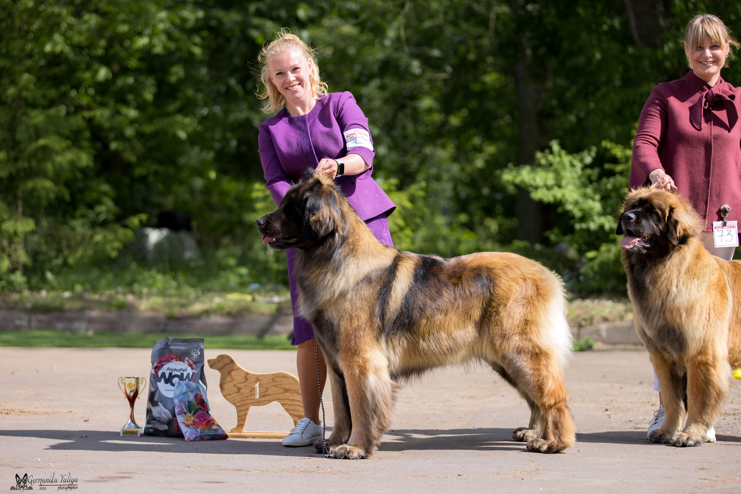 Националка Леонбергеров 28.05.2023. Фотограф-анималист Юлия Германика