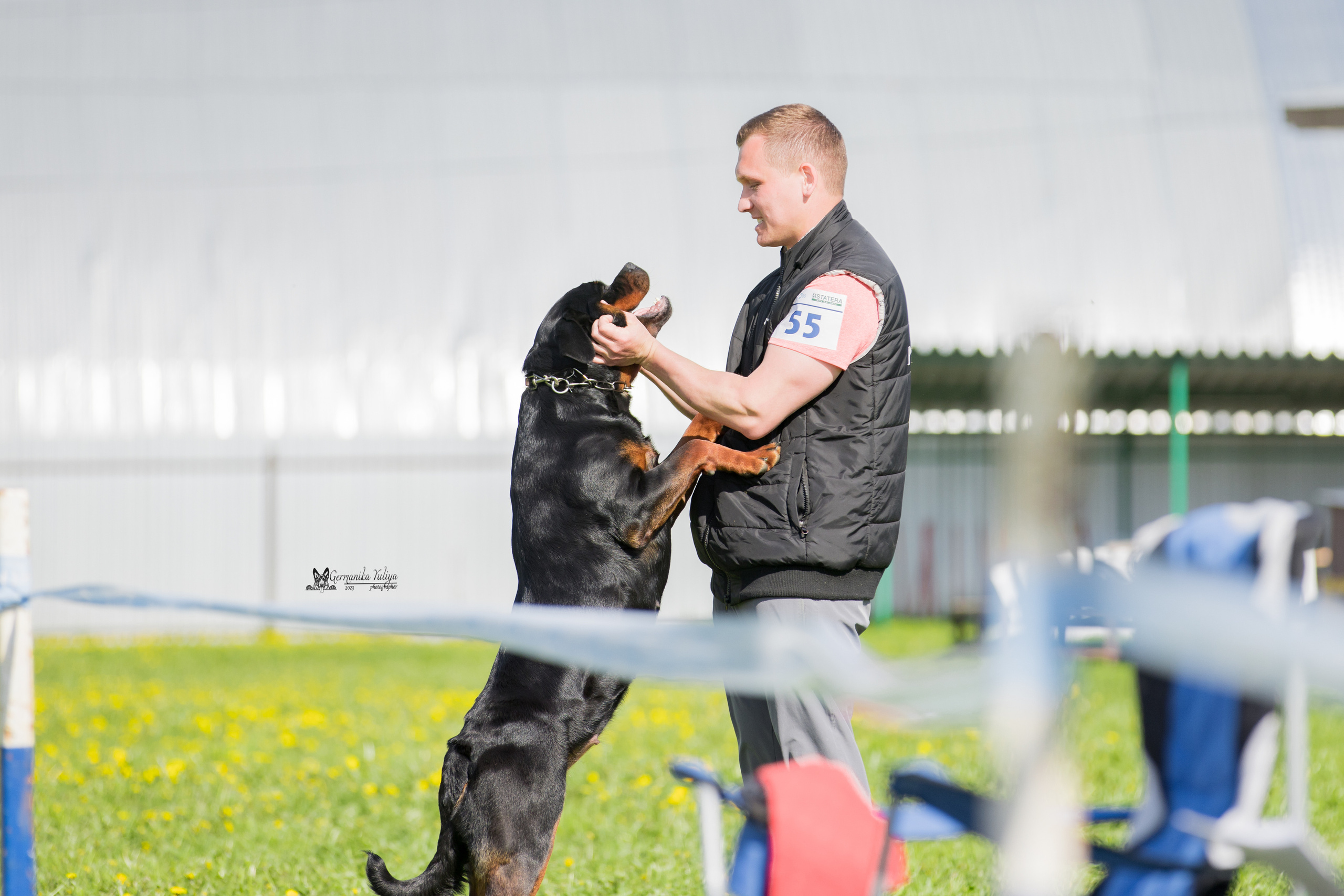 Нижний Новгород моно ротвейлеров 13.05.2023. Фотограф-анималист Юлия Германика