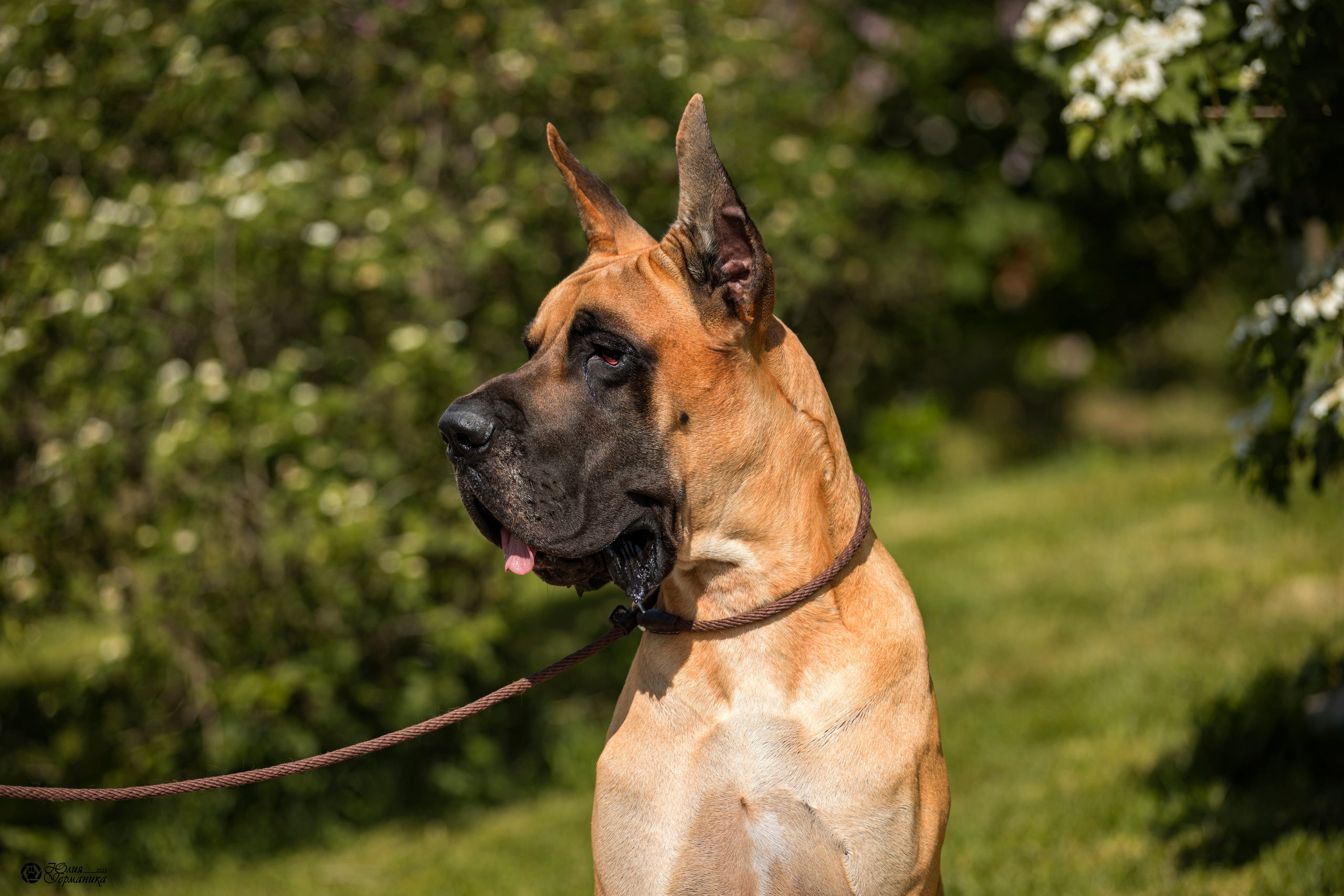 Россия 10-11.06.2023. Фотограф-анималист Юлия Германика