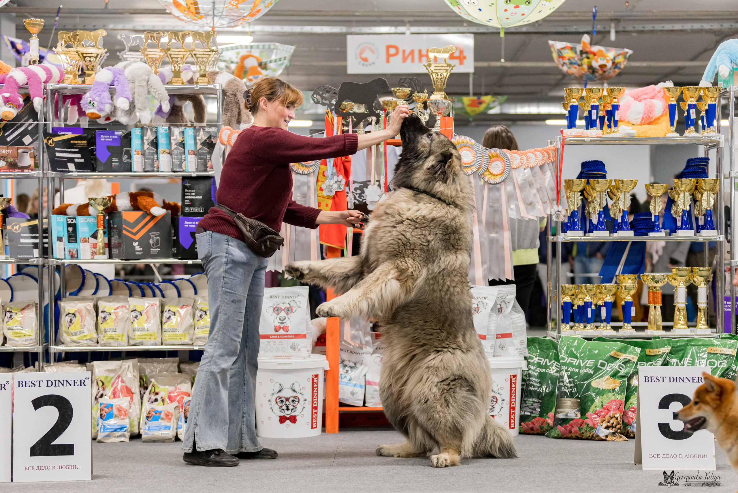 Сфера+МД 8-9.04.2023. Фотограф-анималист Юлия Германика