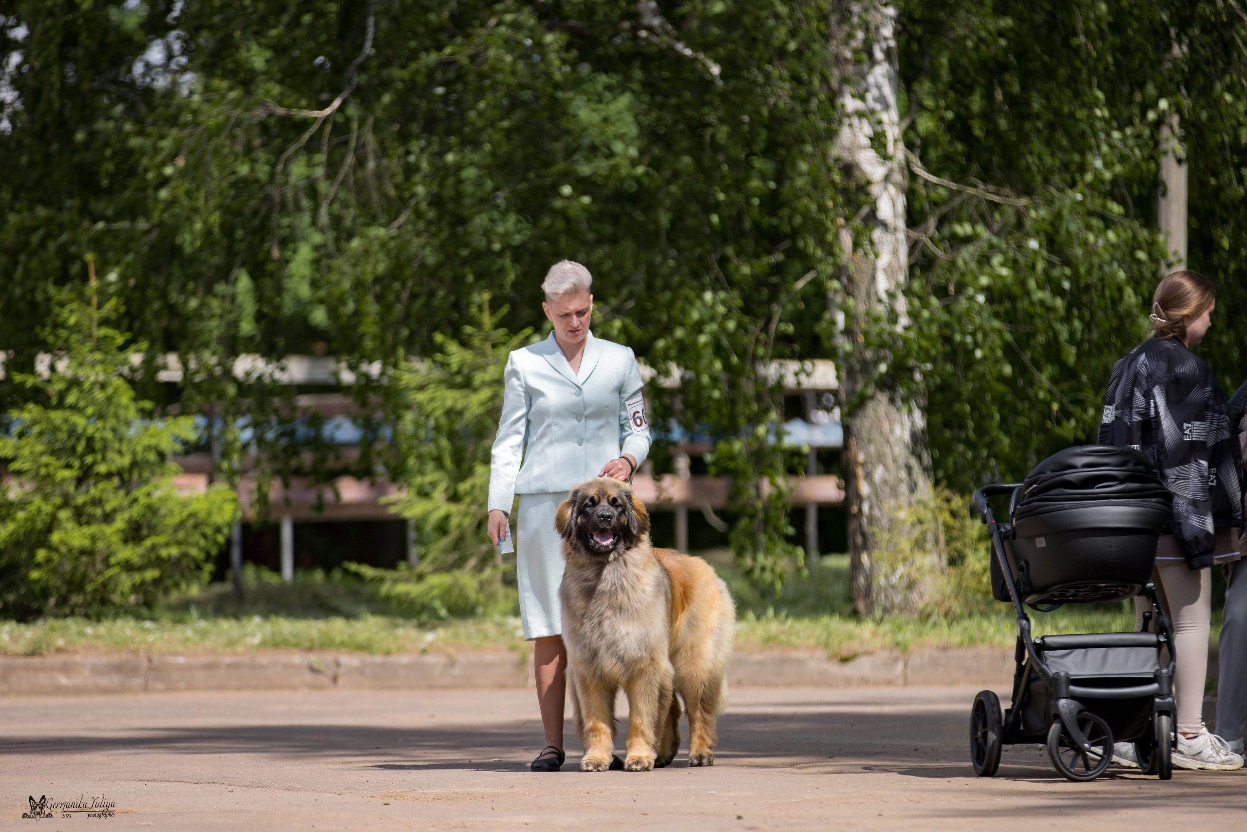 Националка Леонбергеров 28.05.2023. Фотограф-анималист Юлия Германика