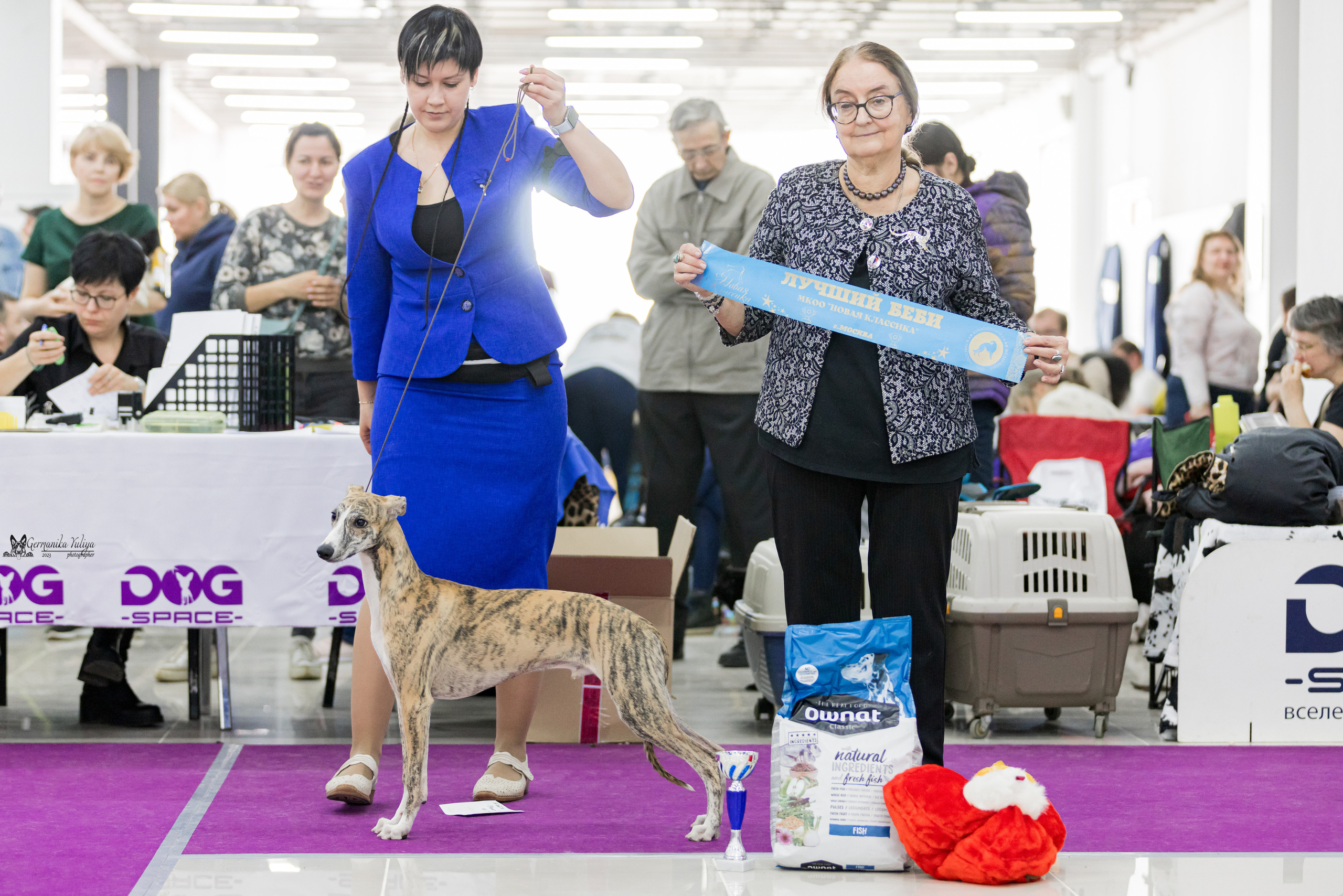 Сфера+МД 8-9.04.2023. Фотограф-анималист Юлия Германика