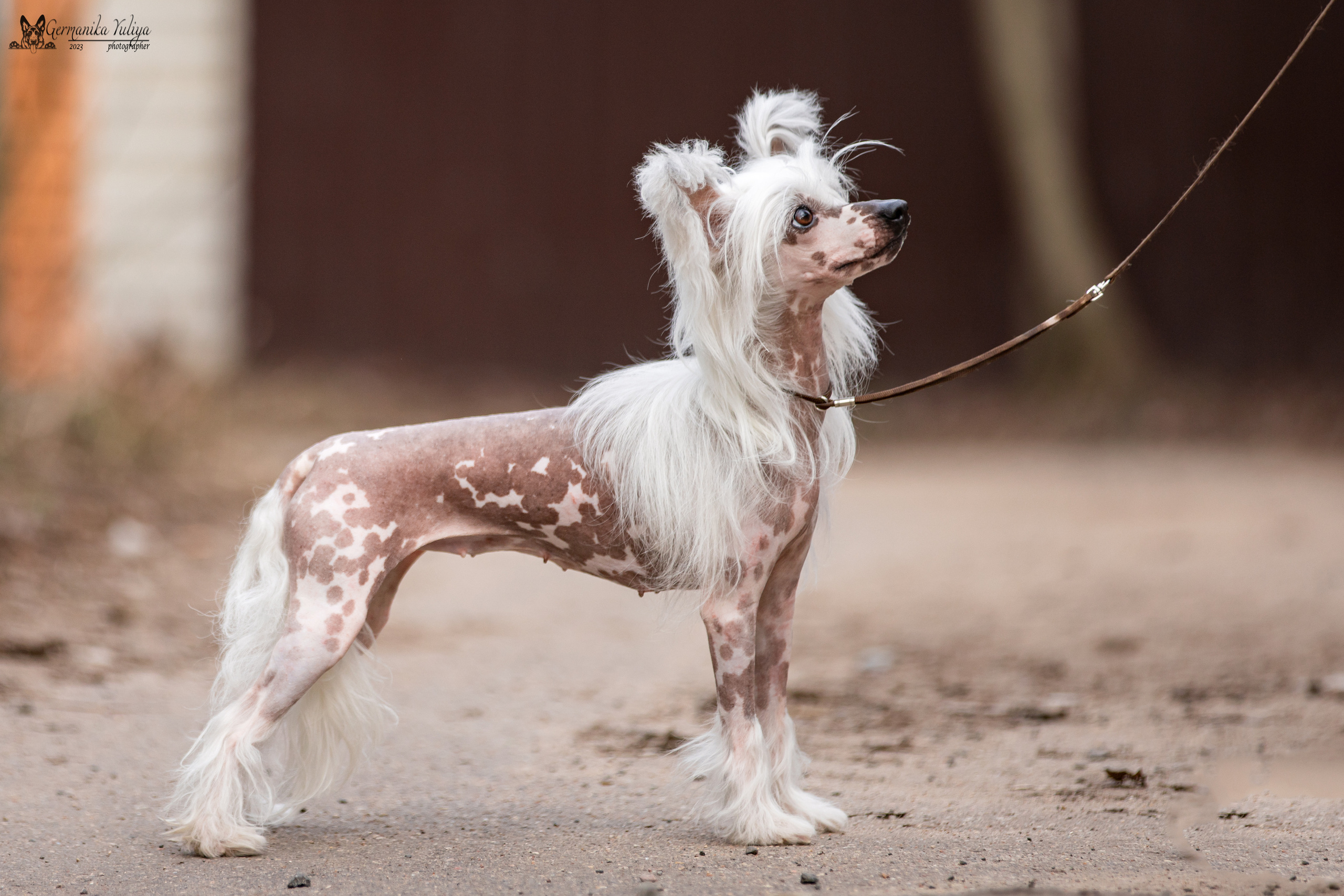 Сфера+МД 8-9.04.2023. Фотограф-анималист Юлия Германика