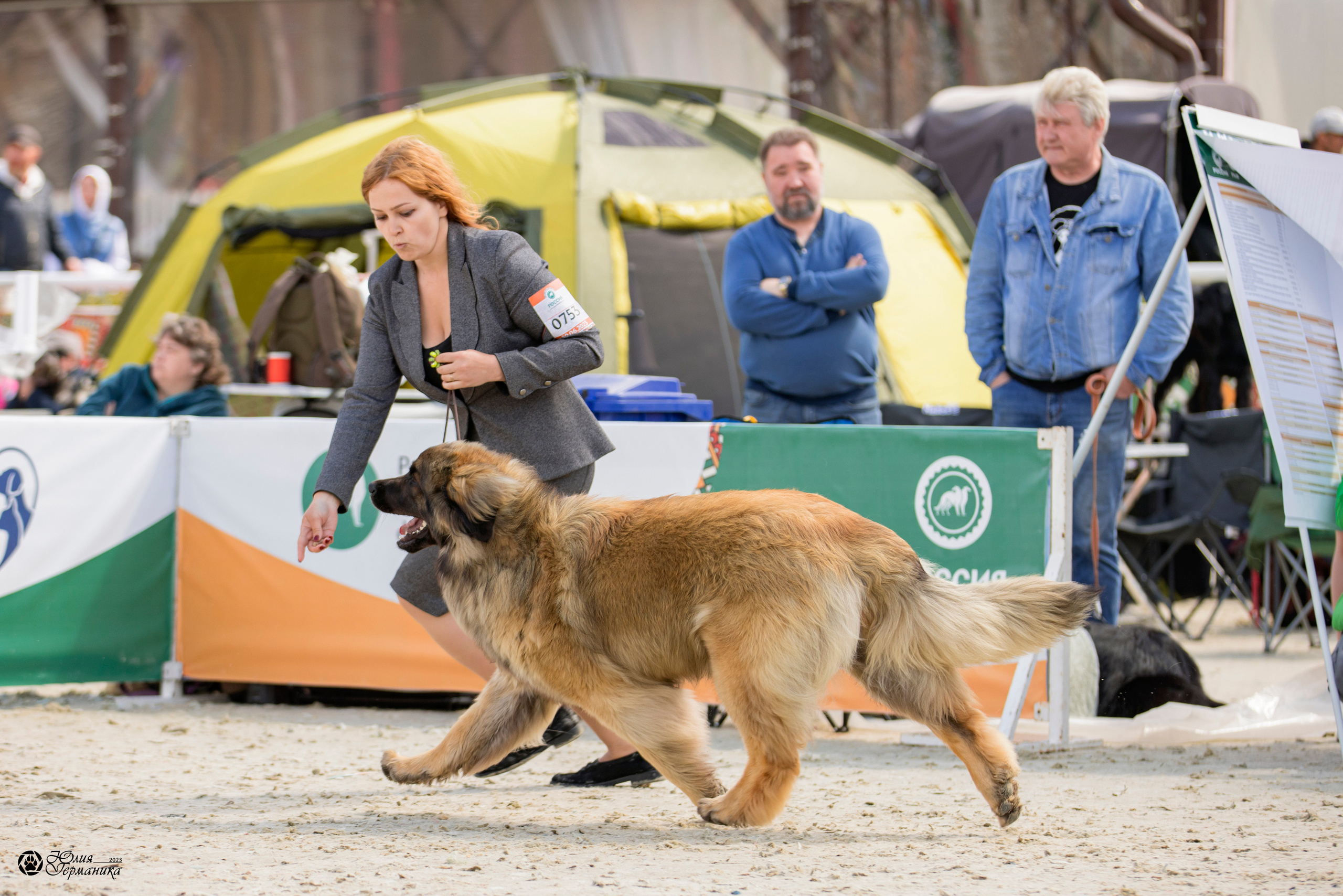 Россия 10-11.06.2023. Фотограф-анималист Юлия Германика
