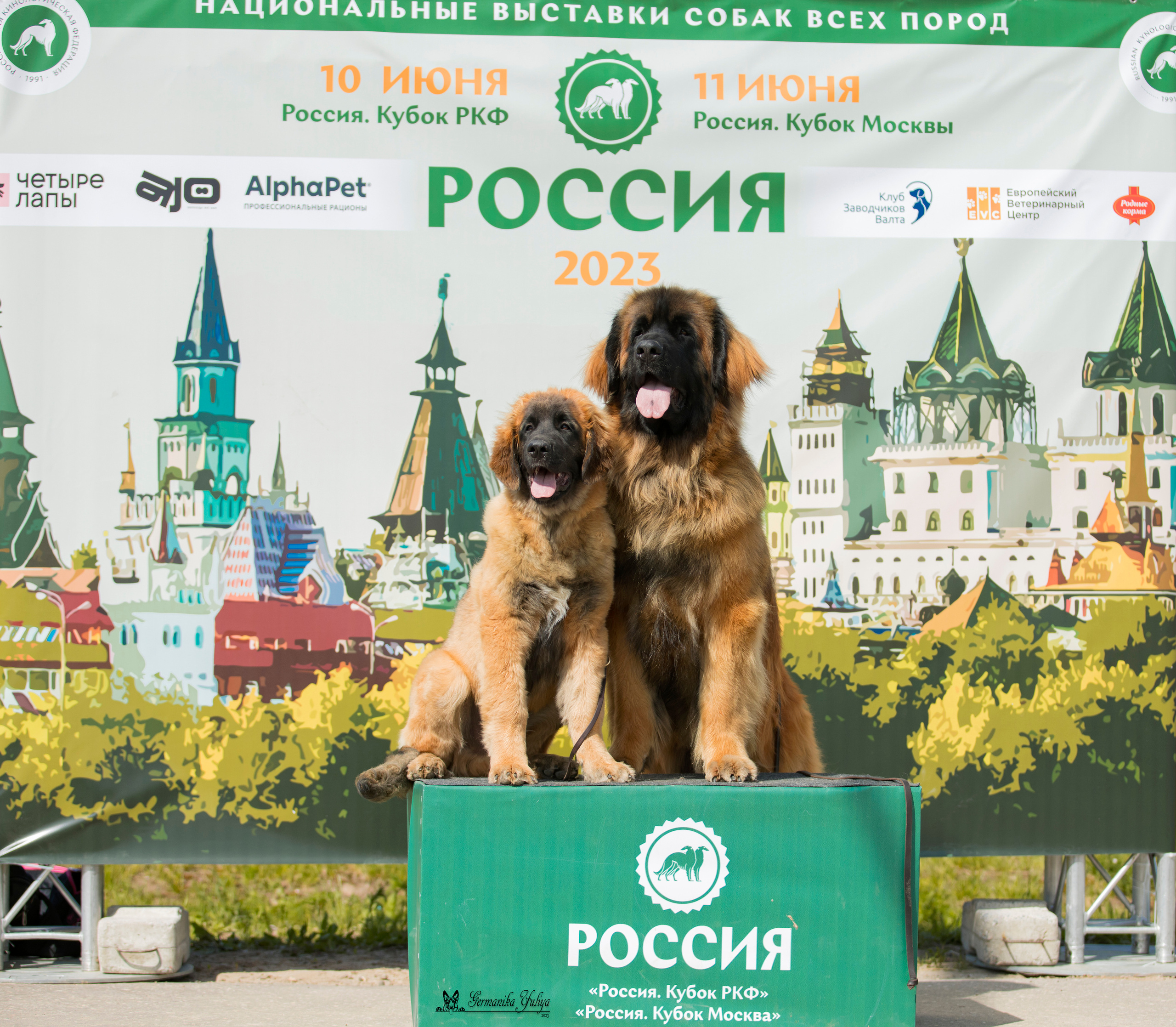 Россия 10-11.06.2023. Фотограф-анималист Юлия Германика