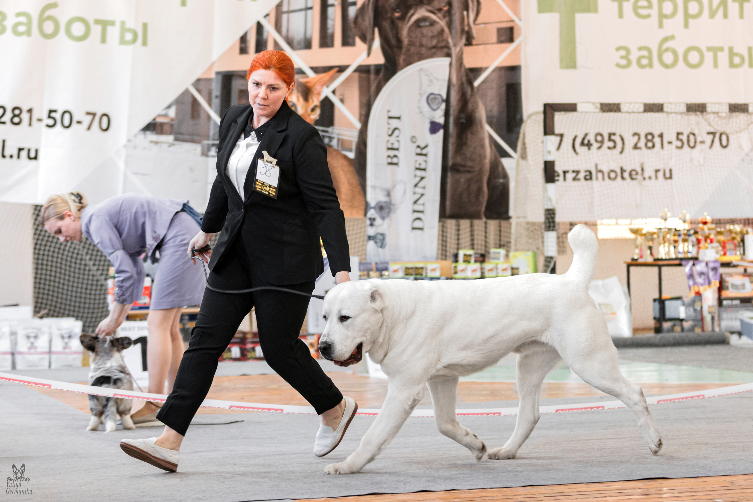 Тверь 01.04.2023. Фотограф-анималист Юлия Германика