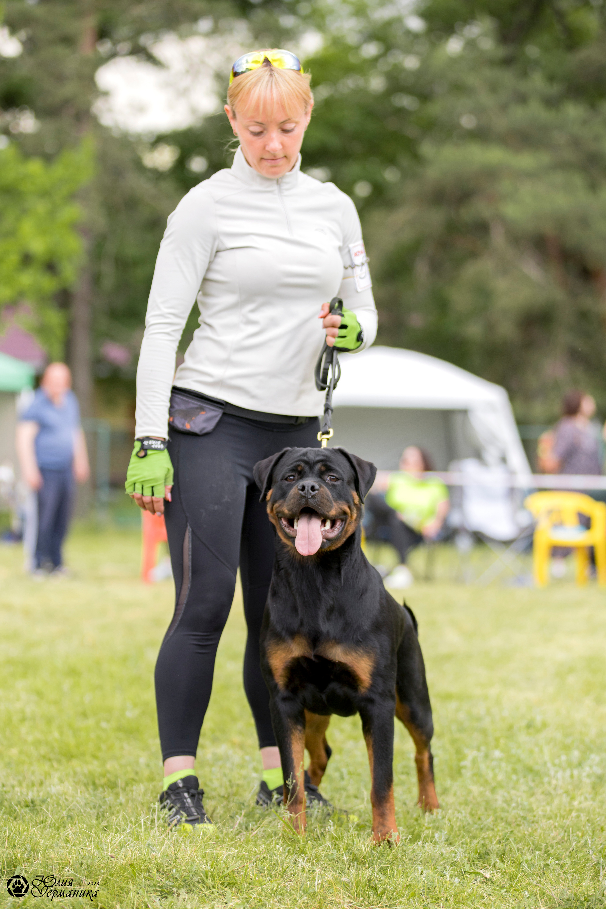 Воронеж 2хмоно ротвейлеров 3-4.06.2023. Фотограф-анималист Юлия Германика