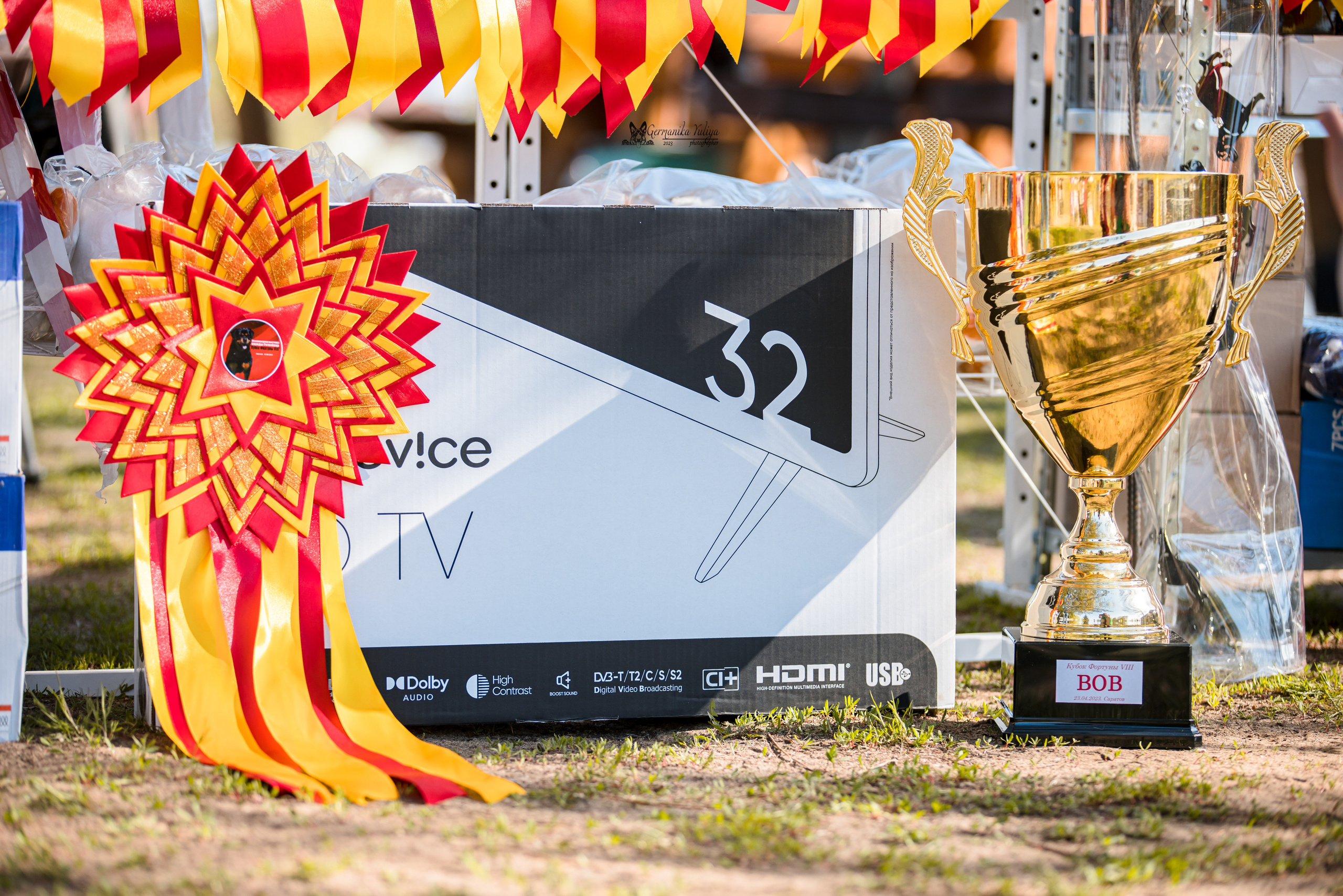 Саратов 2хмоно ротвейлеров 22-23.04.2023. Фотограф-анималист Юлия Германика