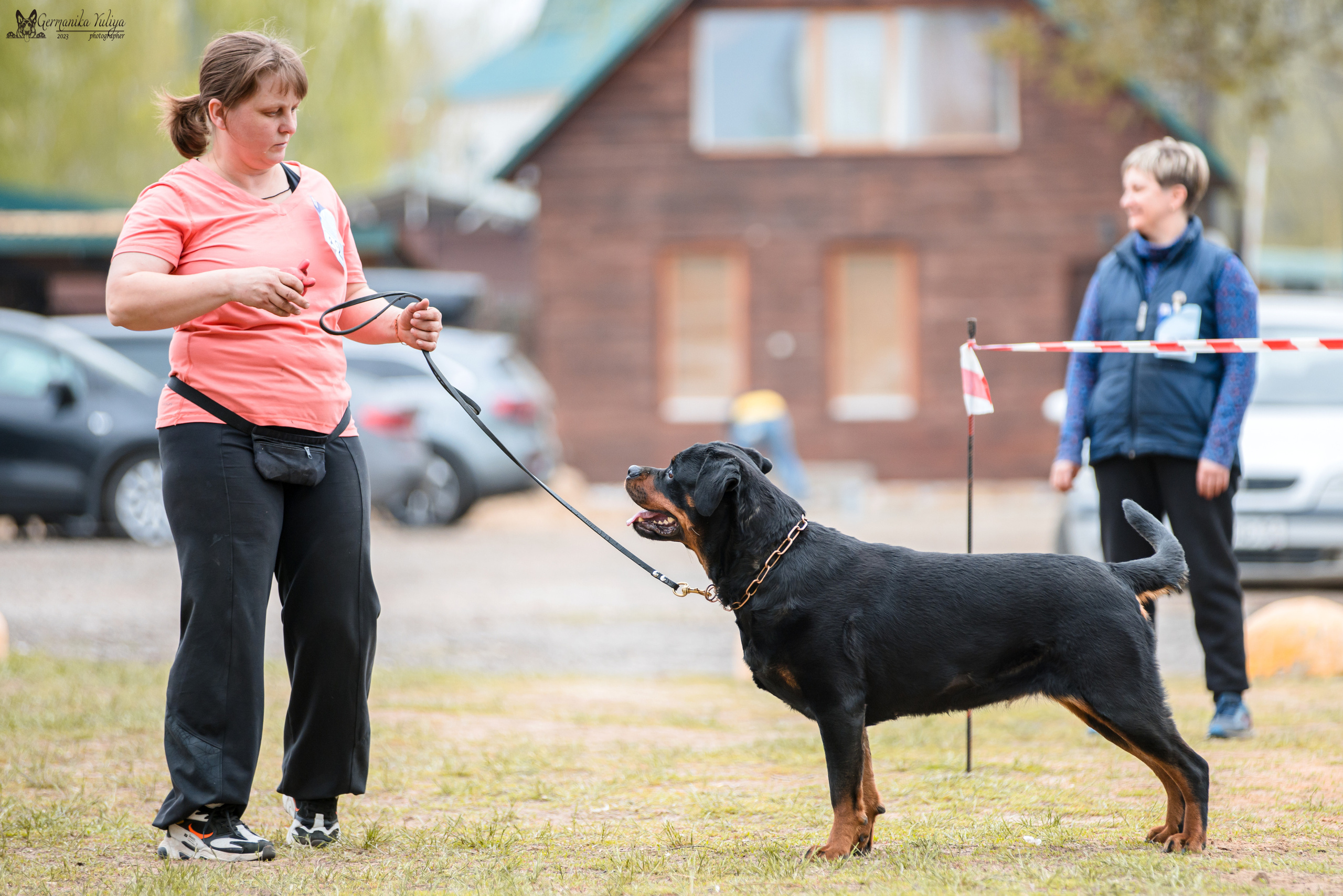 Саратов 2хмоно ротвейлеров 22-23.04.2023. Фотограф-анималист Юлия Германика