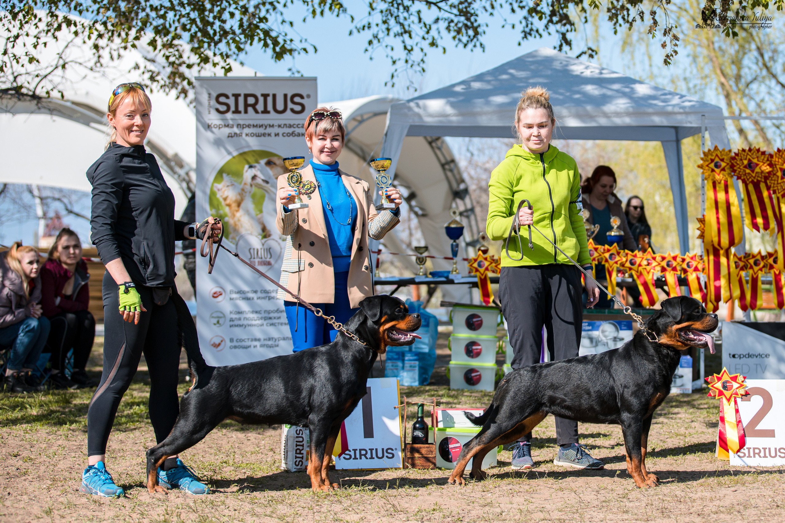 Саратов 2хмоно ротвейлеров 22-23.04.2023. Фотограф-анималист Юлия Германика