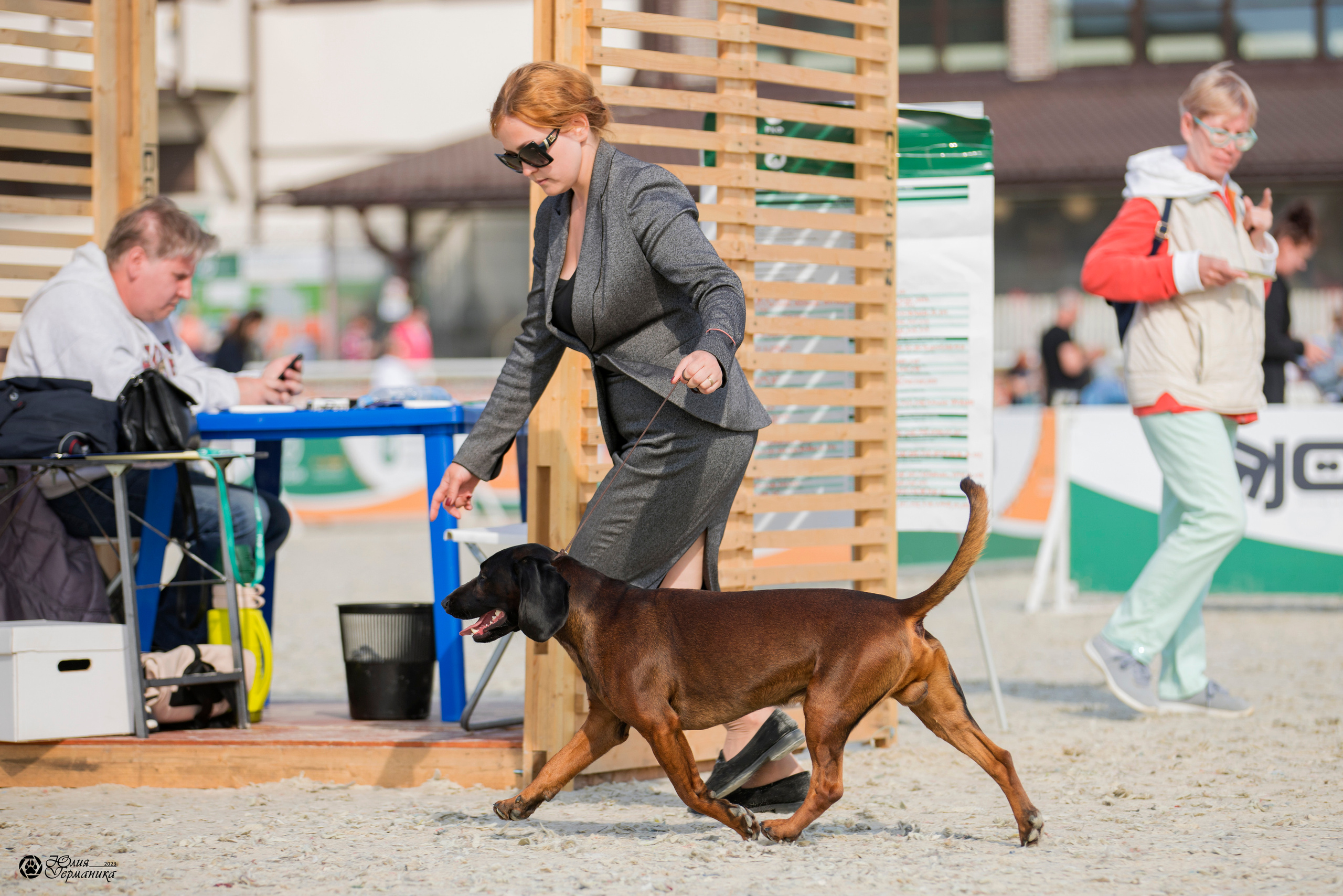 Россия 10-11.06.2023. Фотограф-анималист Юлия Германика