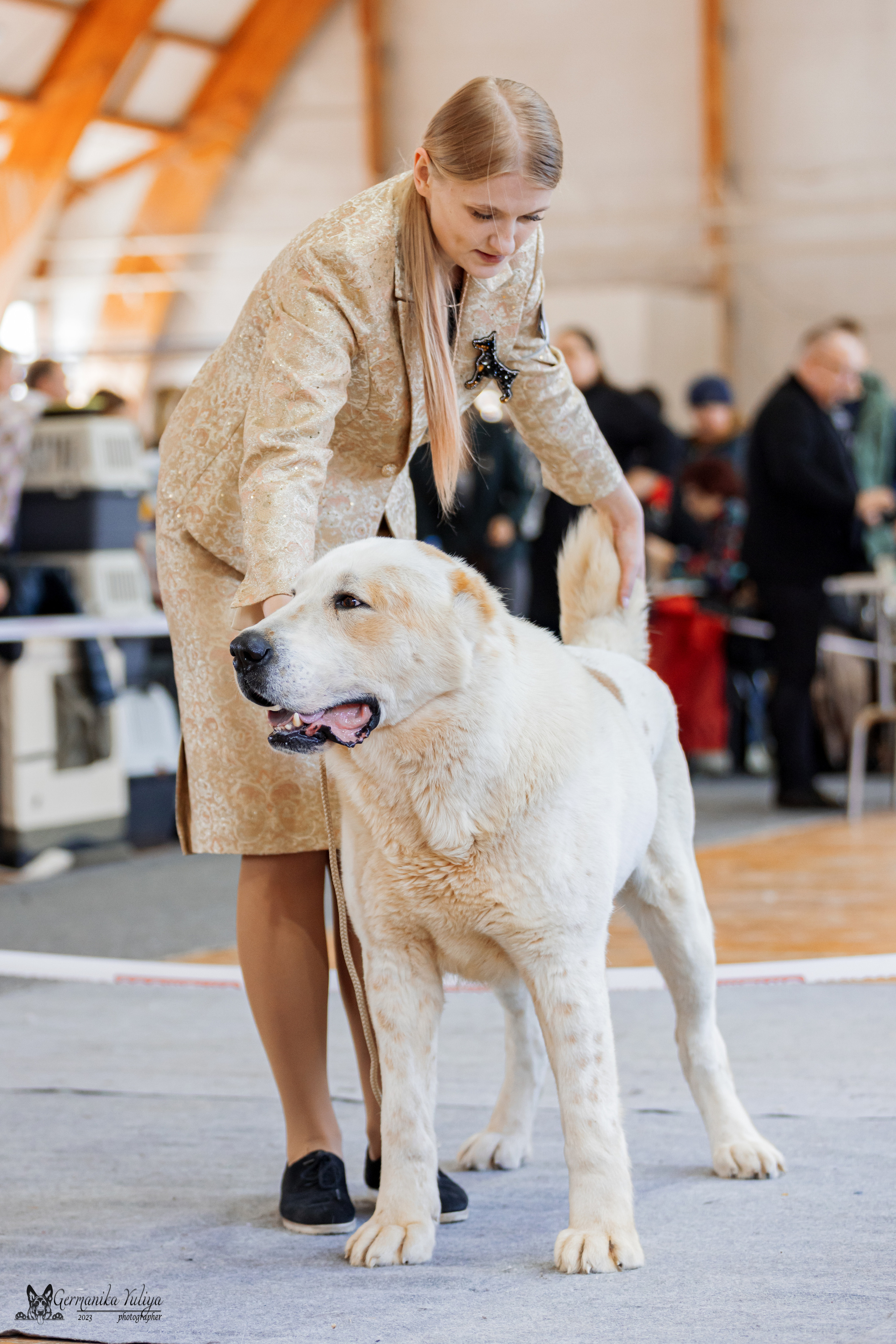 Тверь 01.04.2023. Фотограф-анималист Юлия Германика