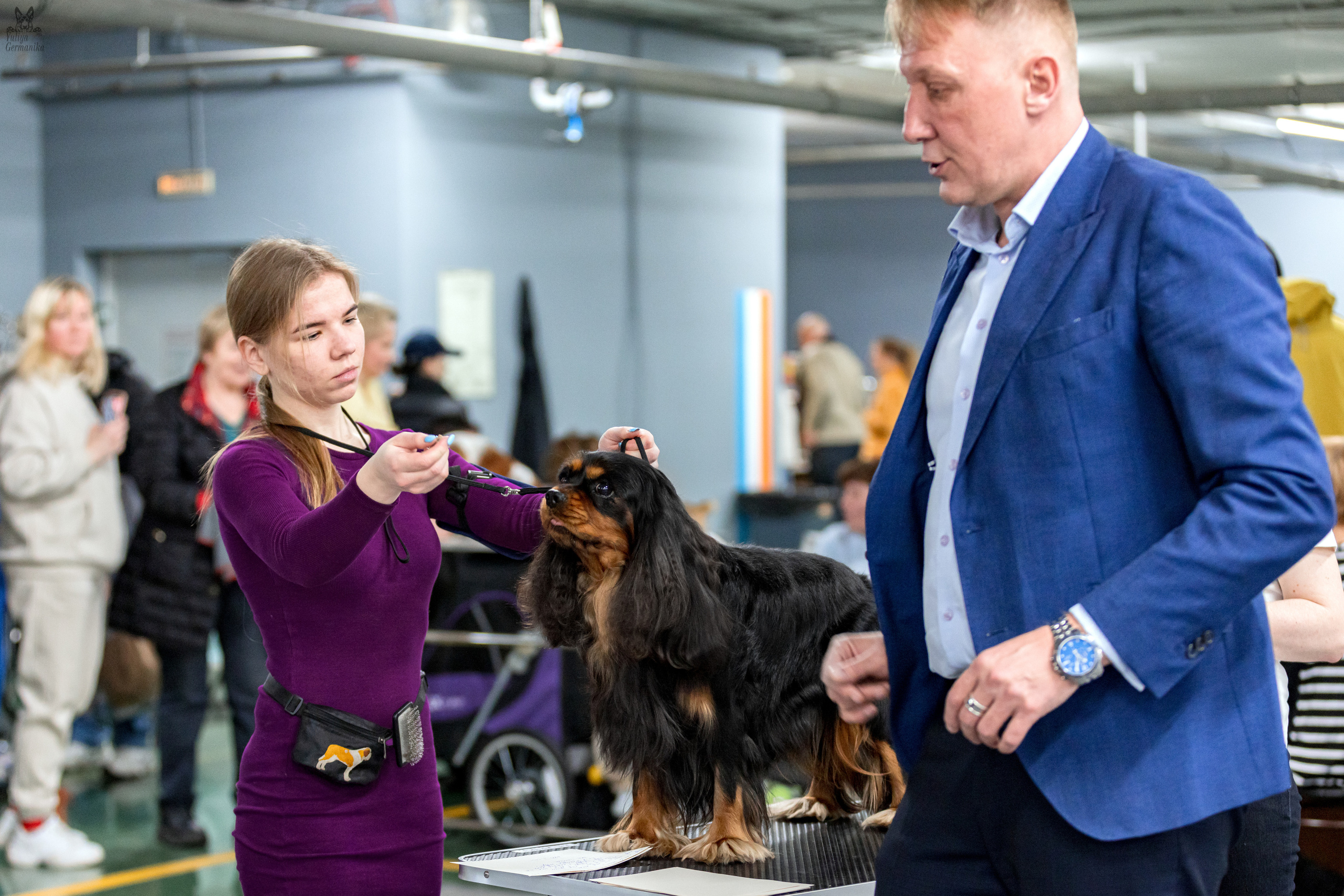 Сфера 25-26.03.2023. Фотограф-анималист Юлия Германика