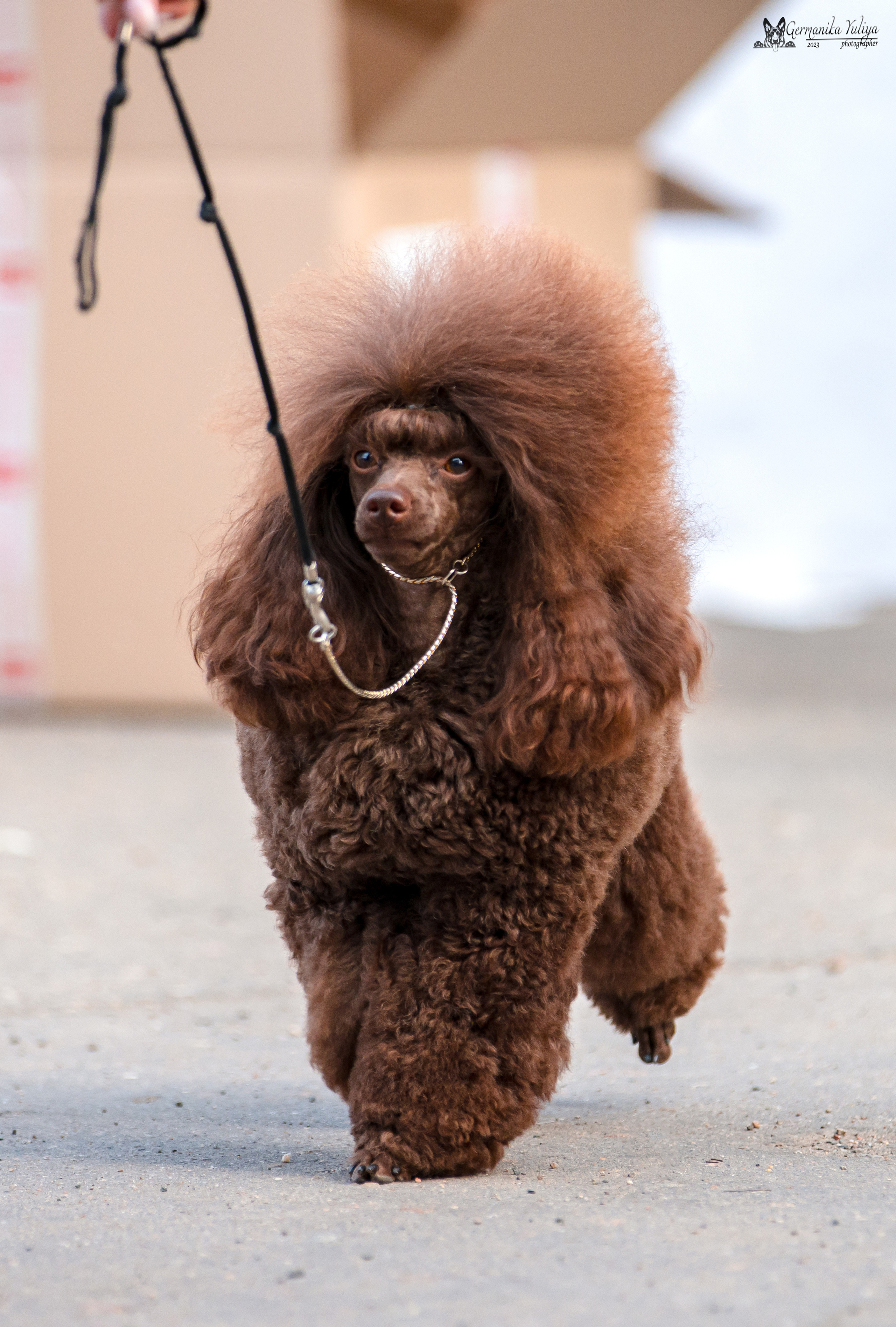 Измайлово 21.05.2023. Фотограф-анималист Юлия Германика