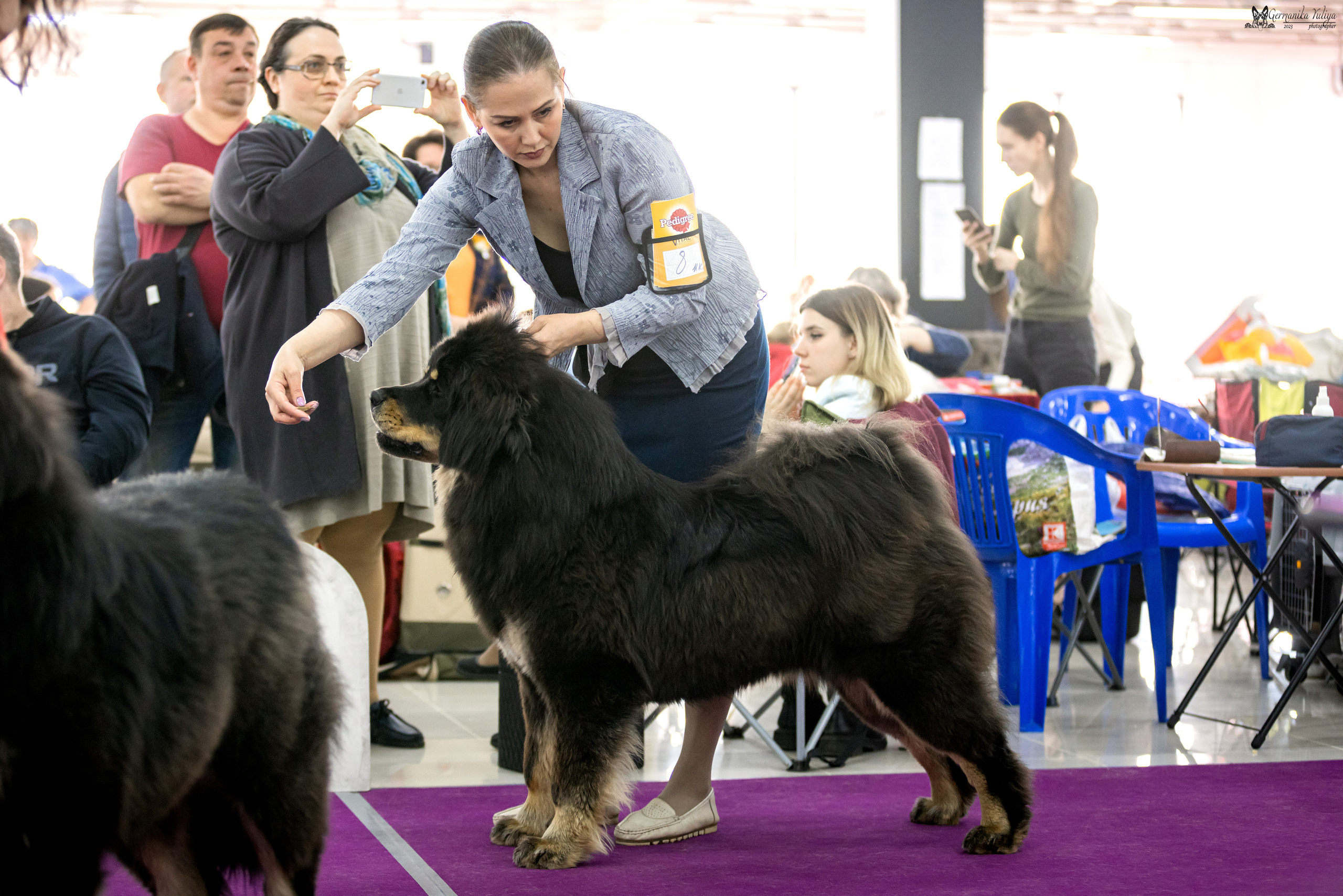 Сфера+МД 8-9.04.2023. Фотограф-анималист Юлия Германика