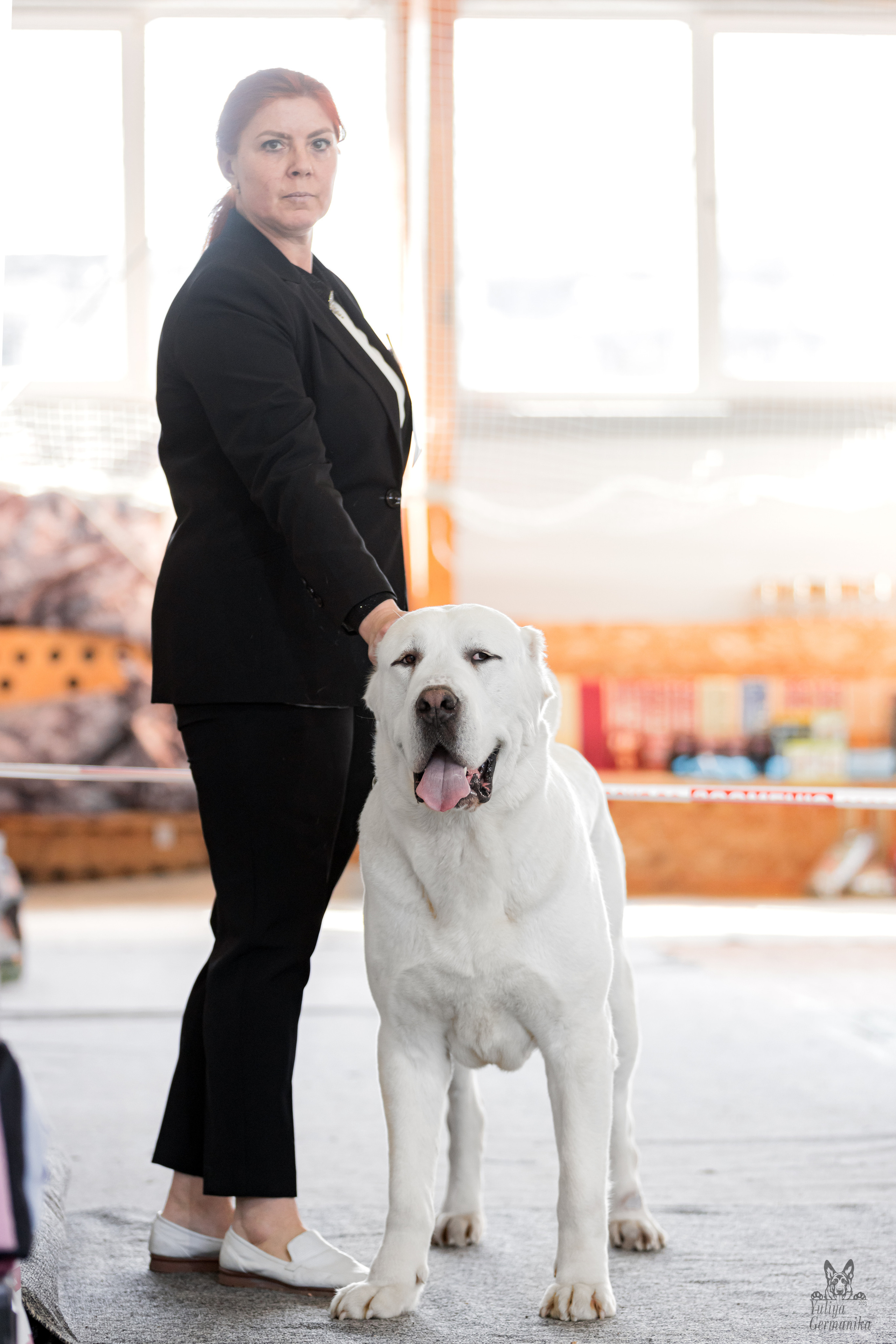 Тверь 01.04.2023. Фотограф-анималист Юлия Германика