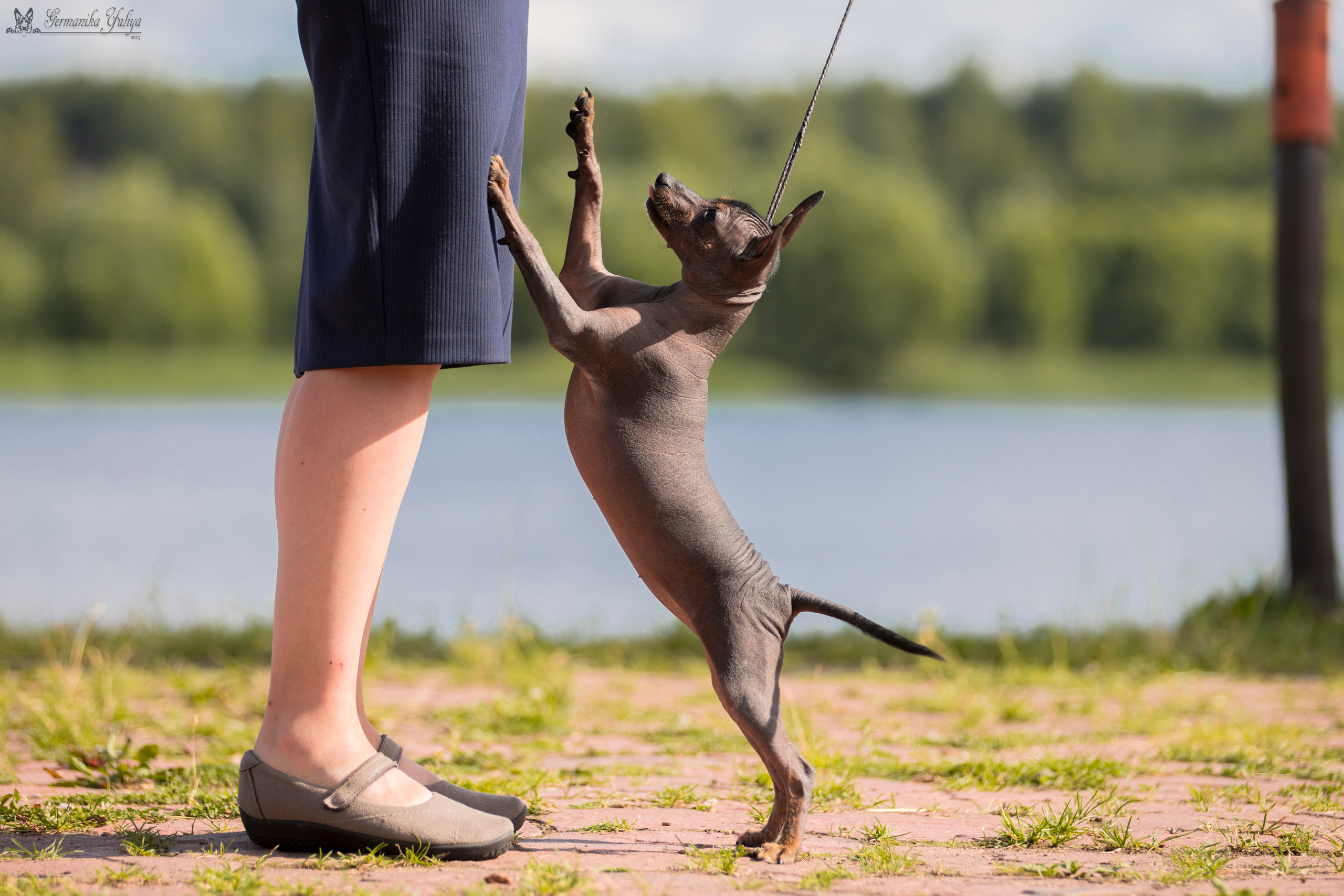 Волжанка 8.07.2023. Фотограф-анималист Юлия Германика