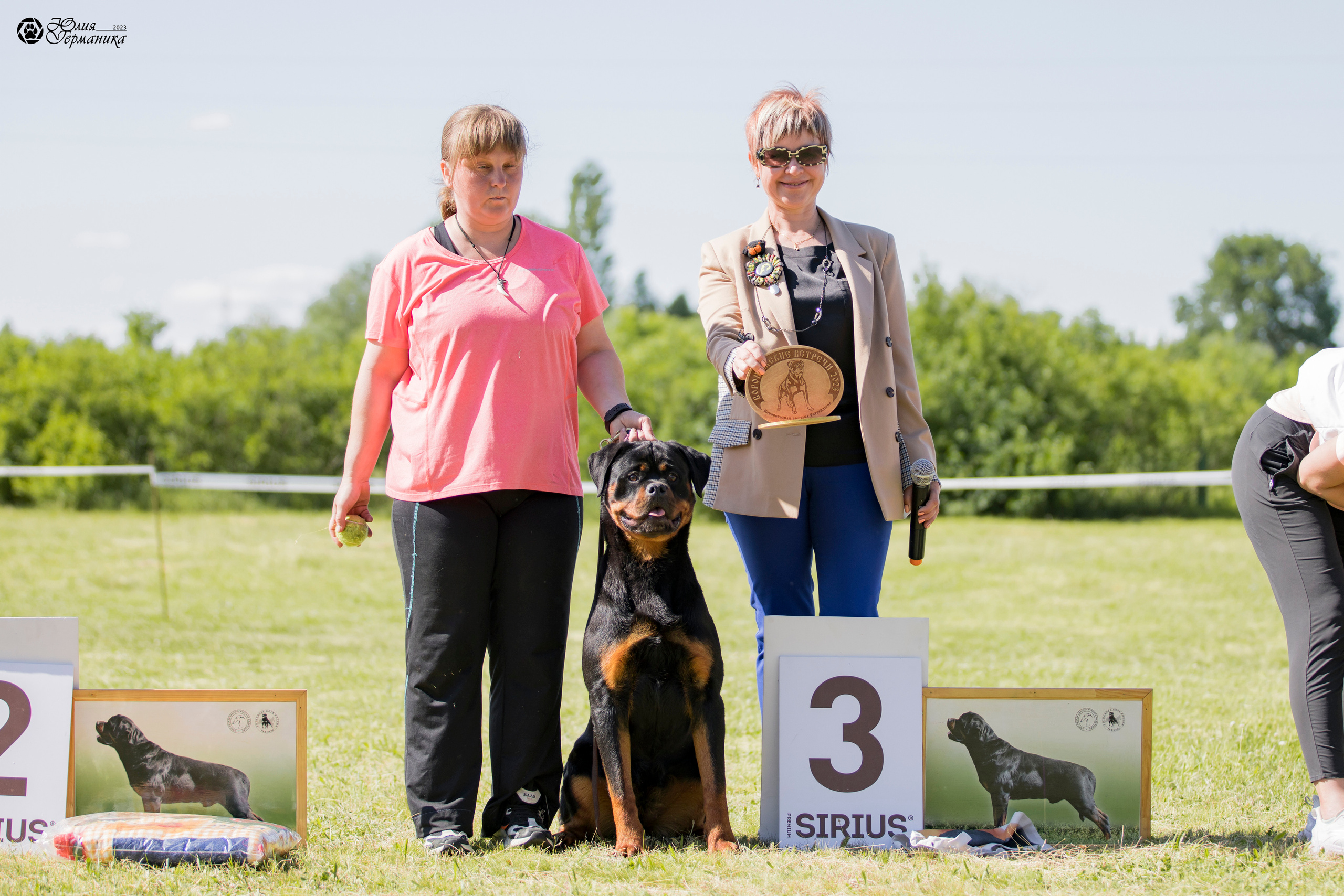 Воронеж 2хмоно ротвейлеров 3-4.06.2023. Фотограф-анималист Юлия Германика