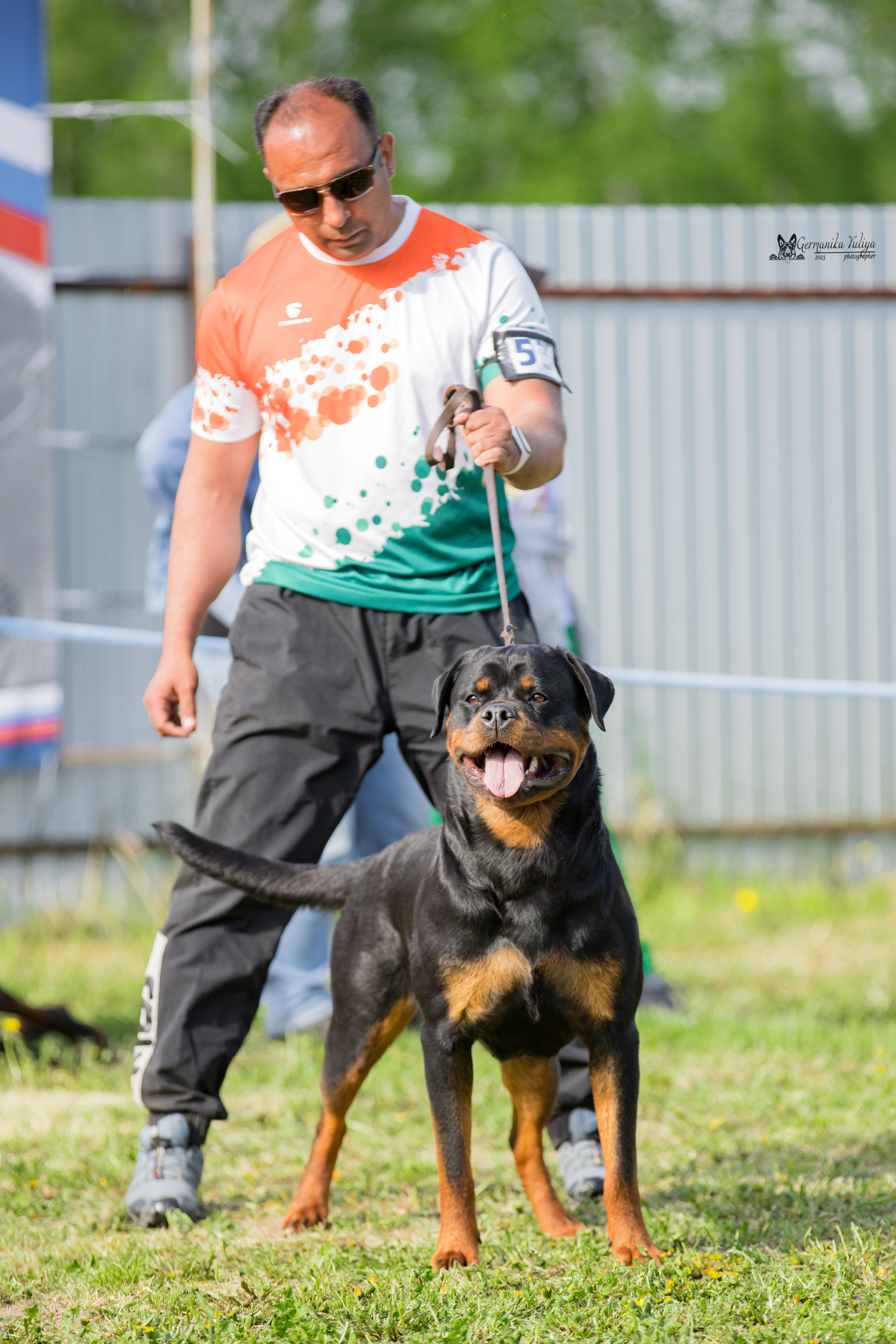 Нижний Новгород моно ротвейлеров 13.05.2023. Фотограф-анималист Юлия Германика