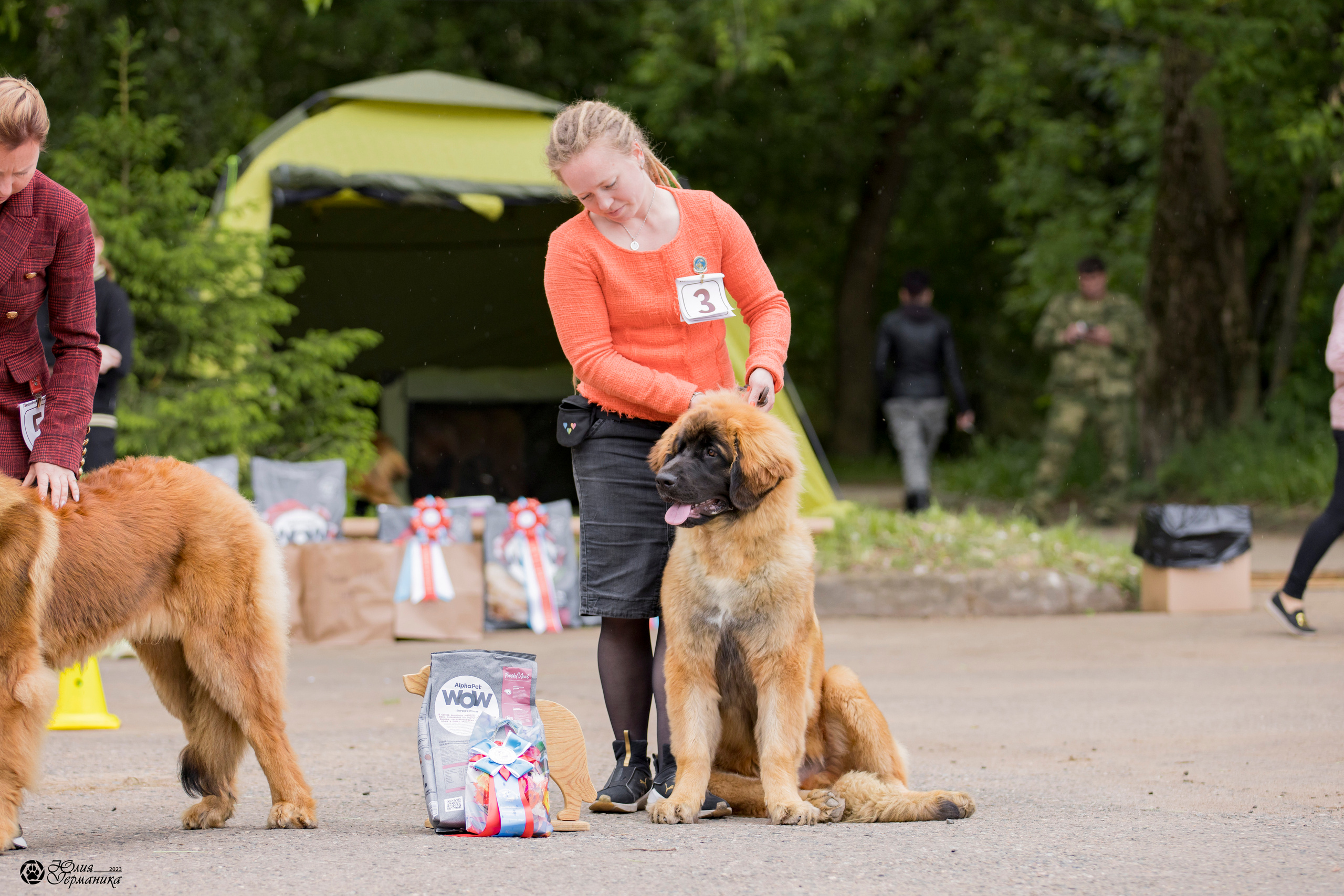 Националка Леонбергеров 28.05.2023. Фотограф-анималист Юлия Германика