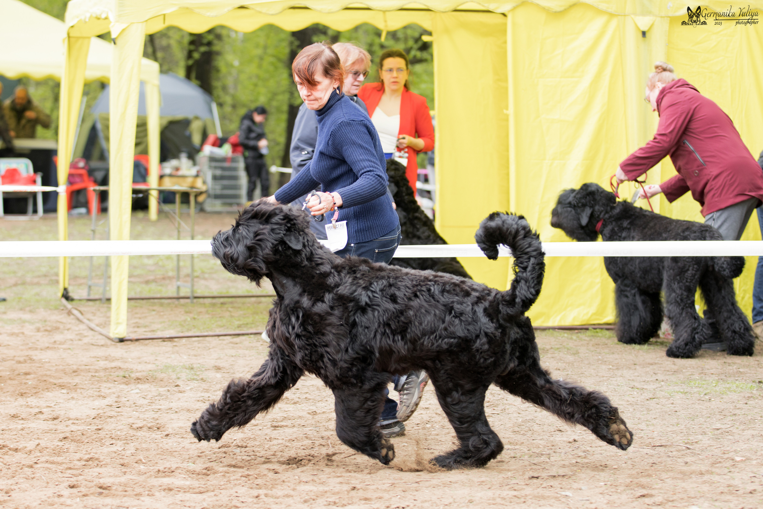 Сокольники 1.05.2023. Фотограф-анималист Юлия Германика