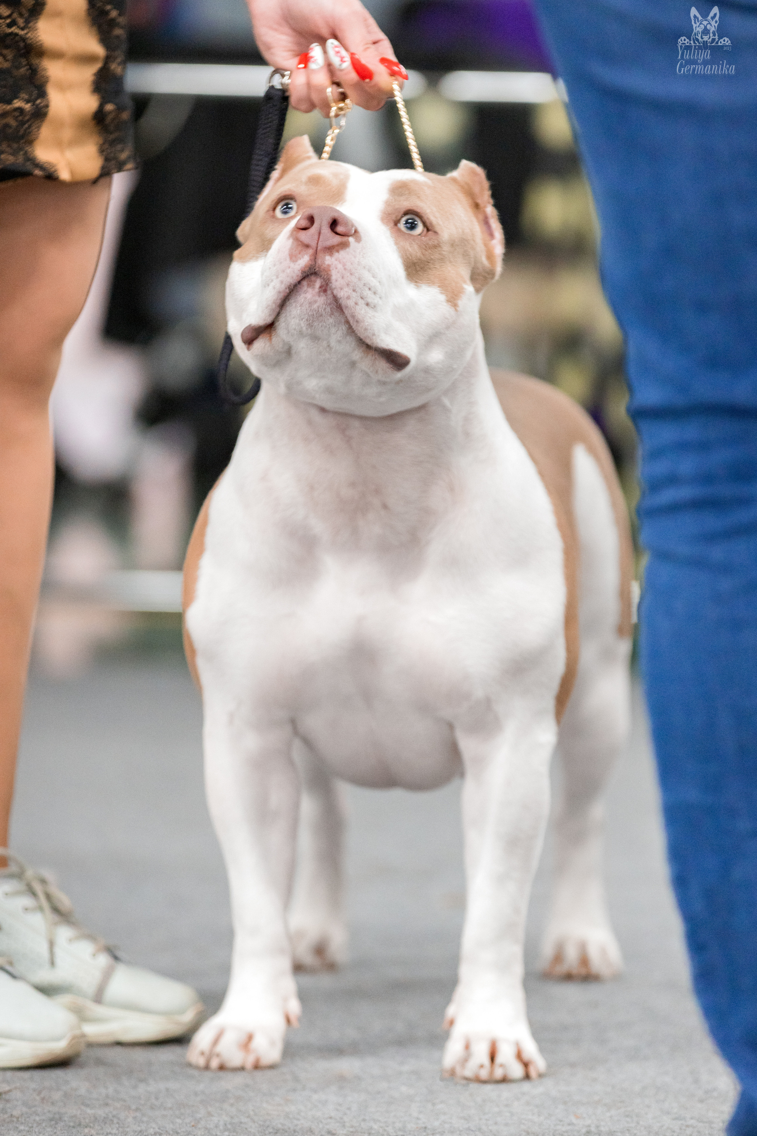 Сфера 25-26.03.2023. Фотограф-анималист Юлия Германика