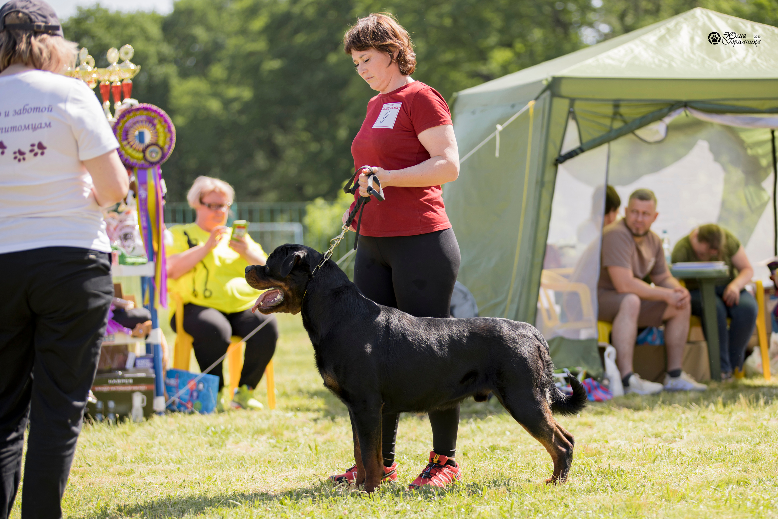Воронеж 2хмоно ротвейлеров 3-4.06.2023. Фотограф-анималист Юлия Германика