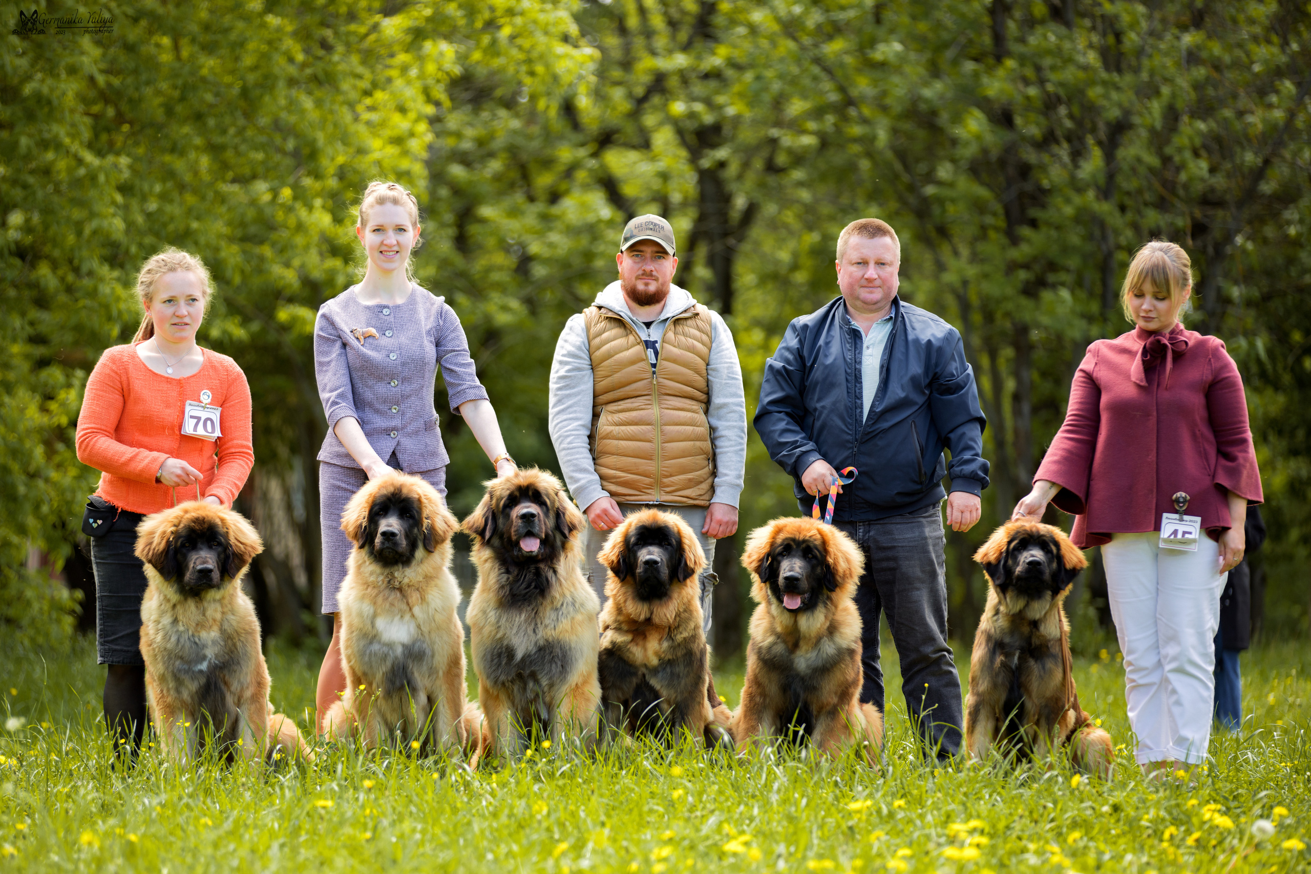 Националка Леонбергеров 28.05.2023. Фотограф-анималист Юлия Германика