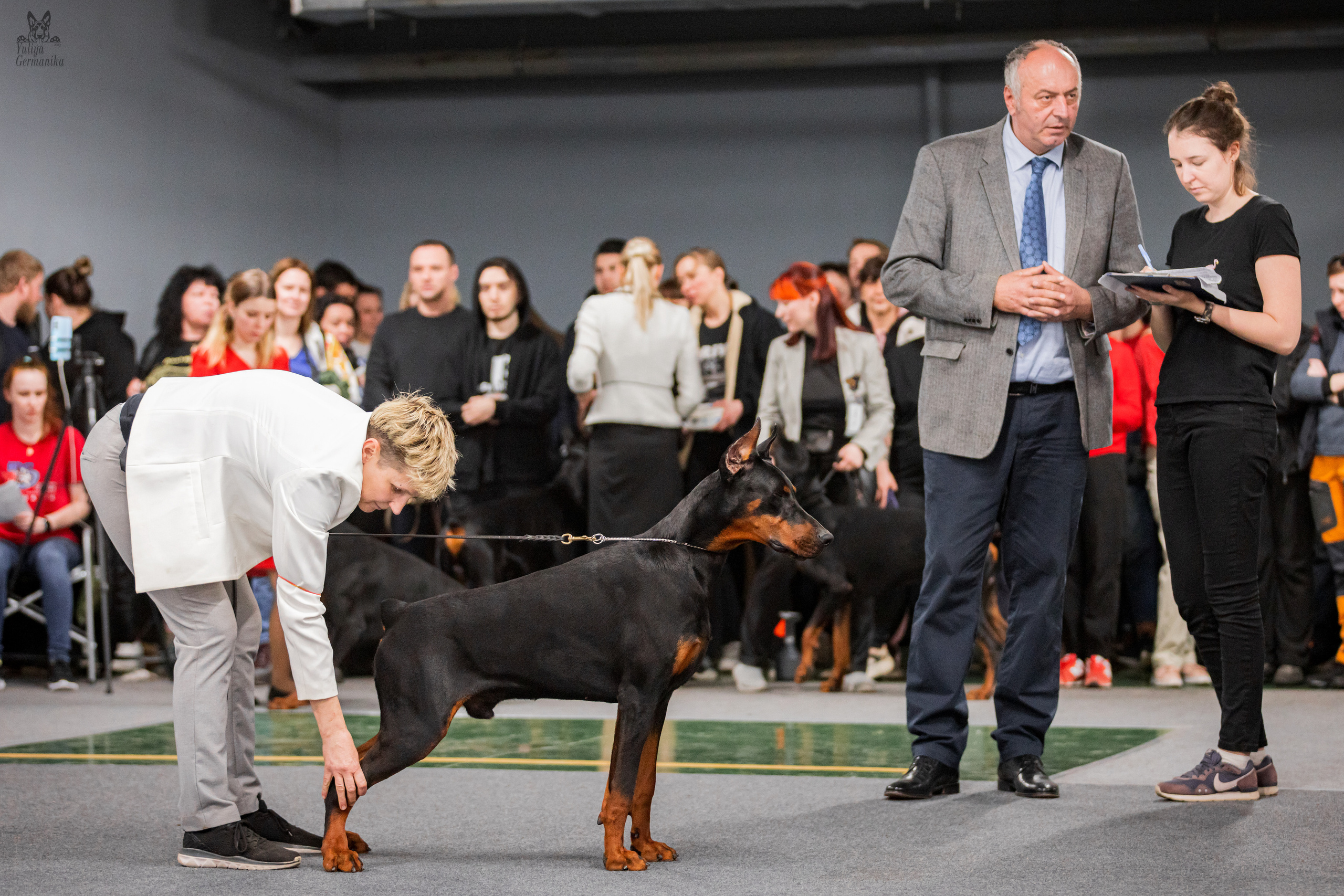 Сфера+доберманы 02.04.2023. Фотограф-анималист Юлия Германика