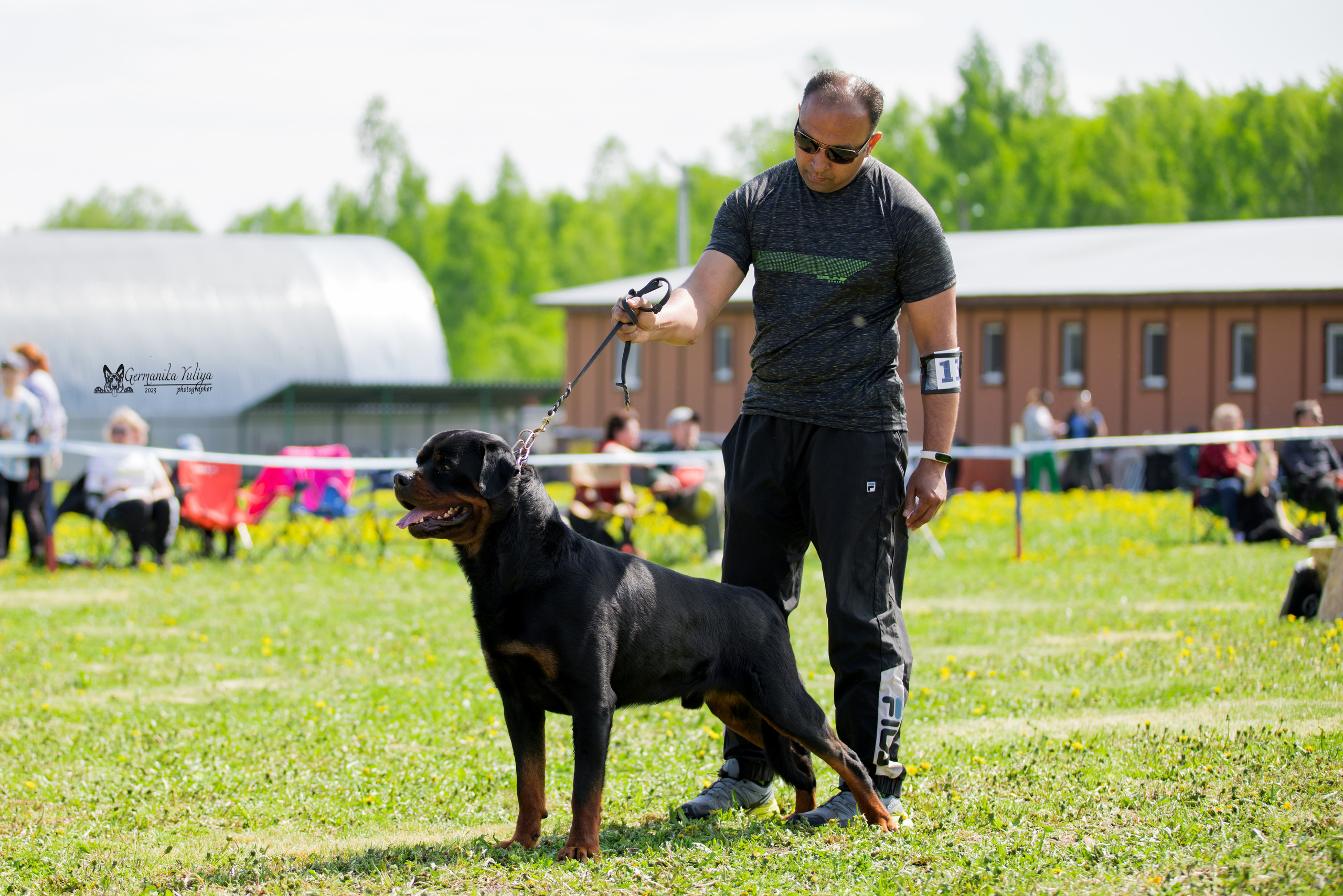 Нижний Новгород моно ротвейлеров 13.05.2023. Фотограф-анималист Юлия Германика