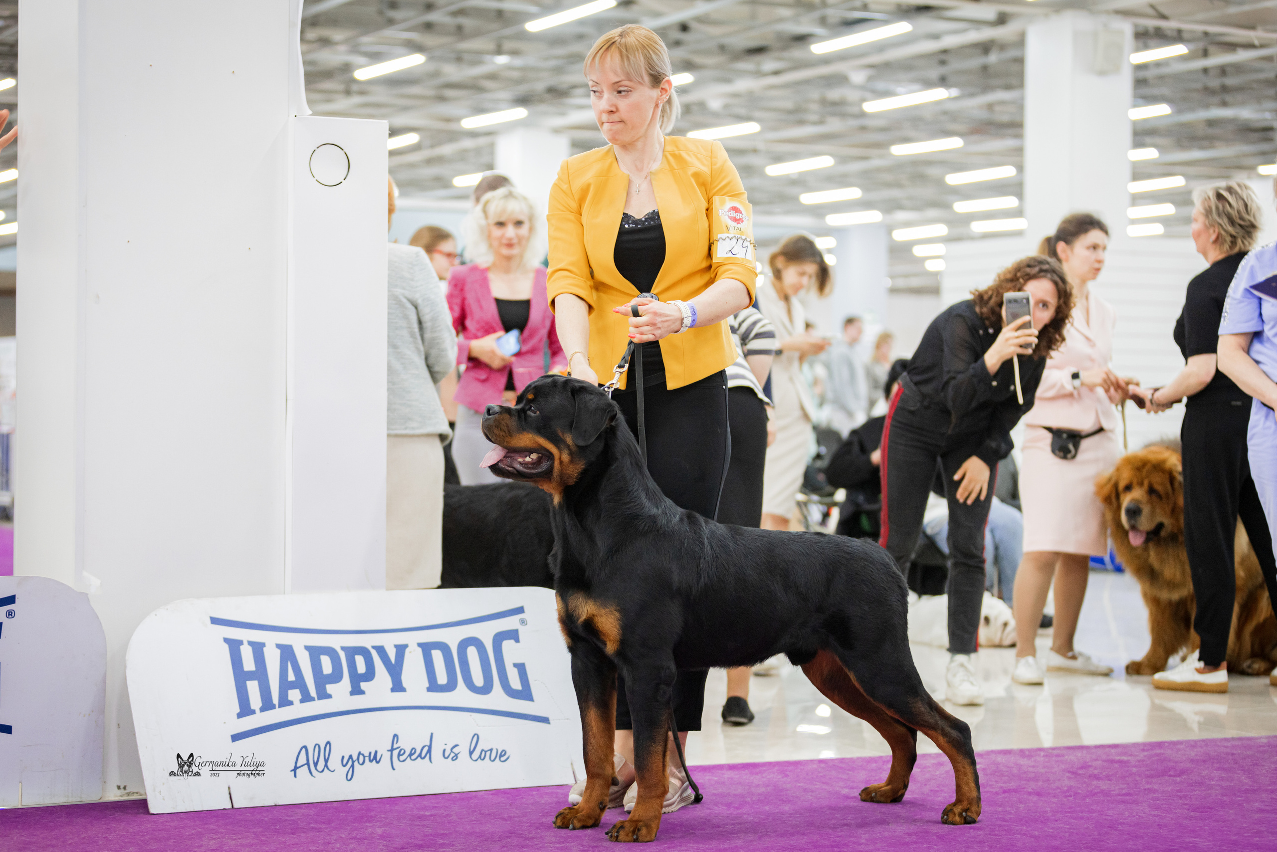 Сфера+МД 8-9.04.2023. Фотограф-анималист Юлия Германика