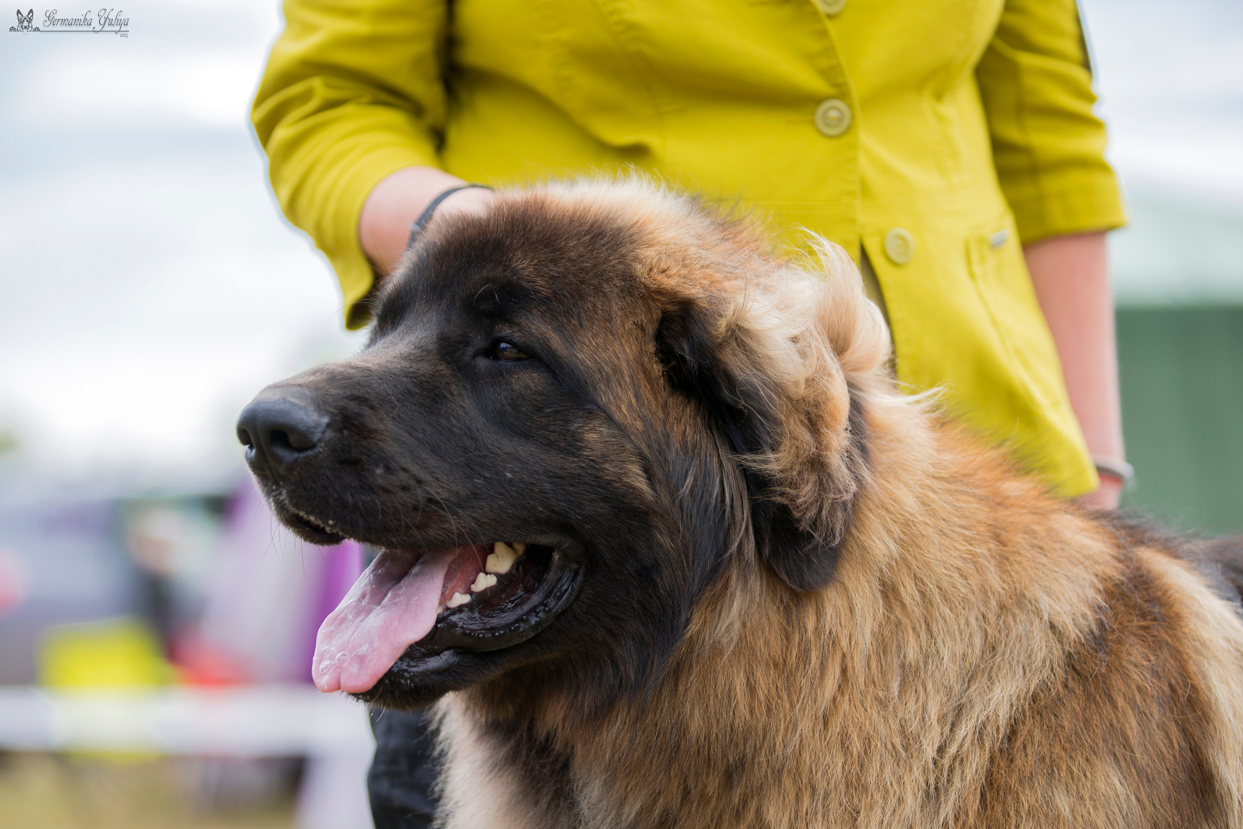Волжанка 8.07.2023. Фотограф-анималист Юлия Германика