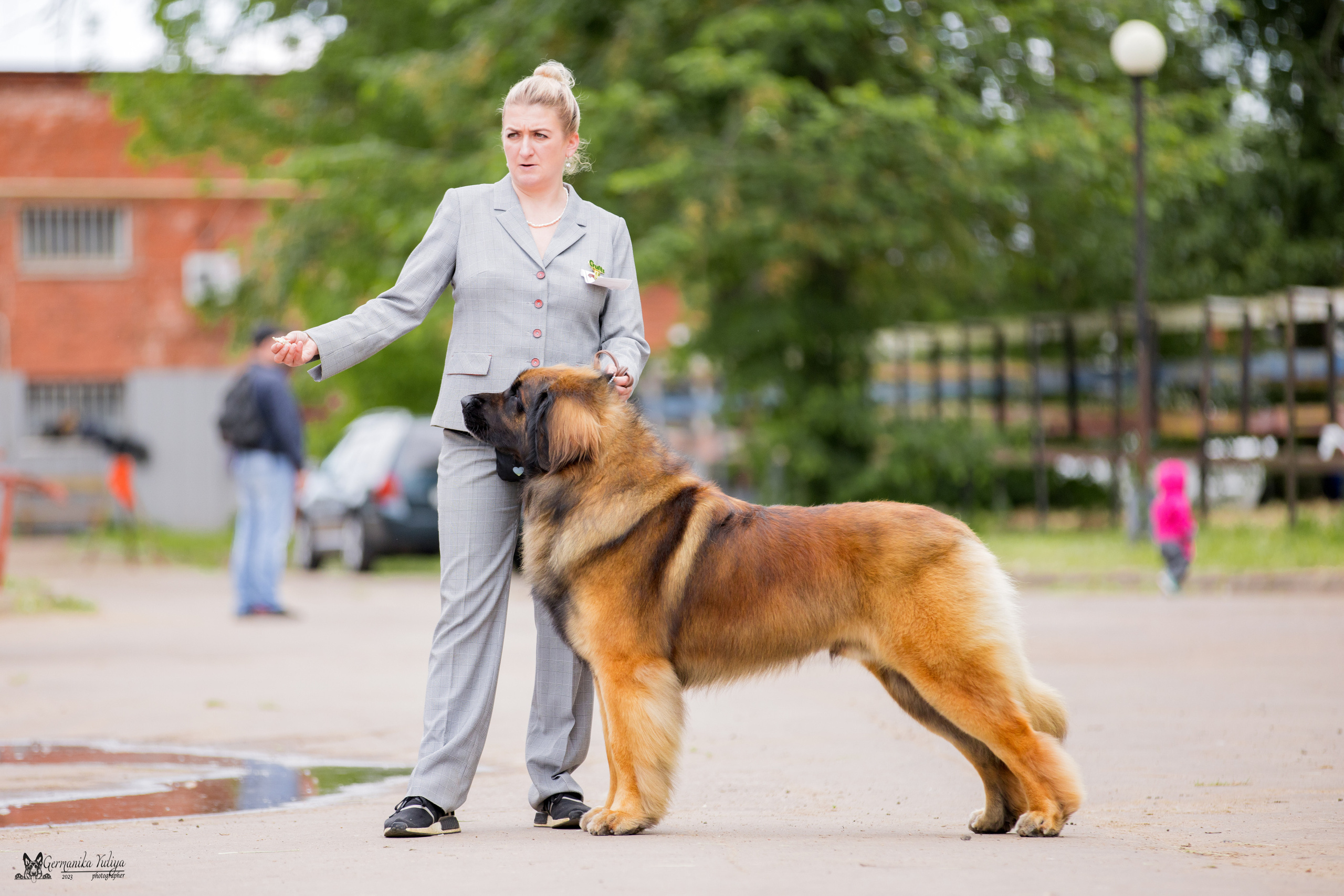 Националка Леонбергеров 28.05.2023. Фотограф-анималист Юлия Германика